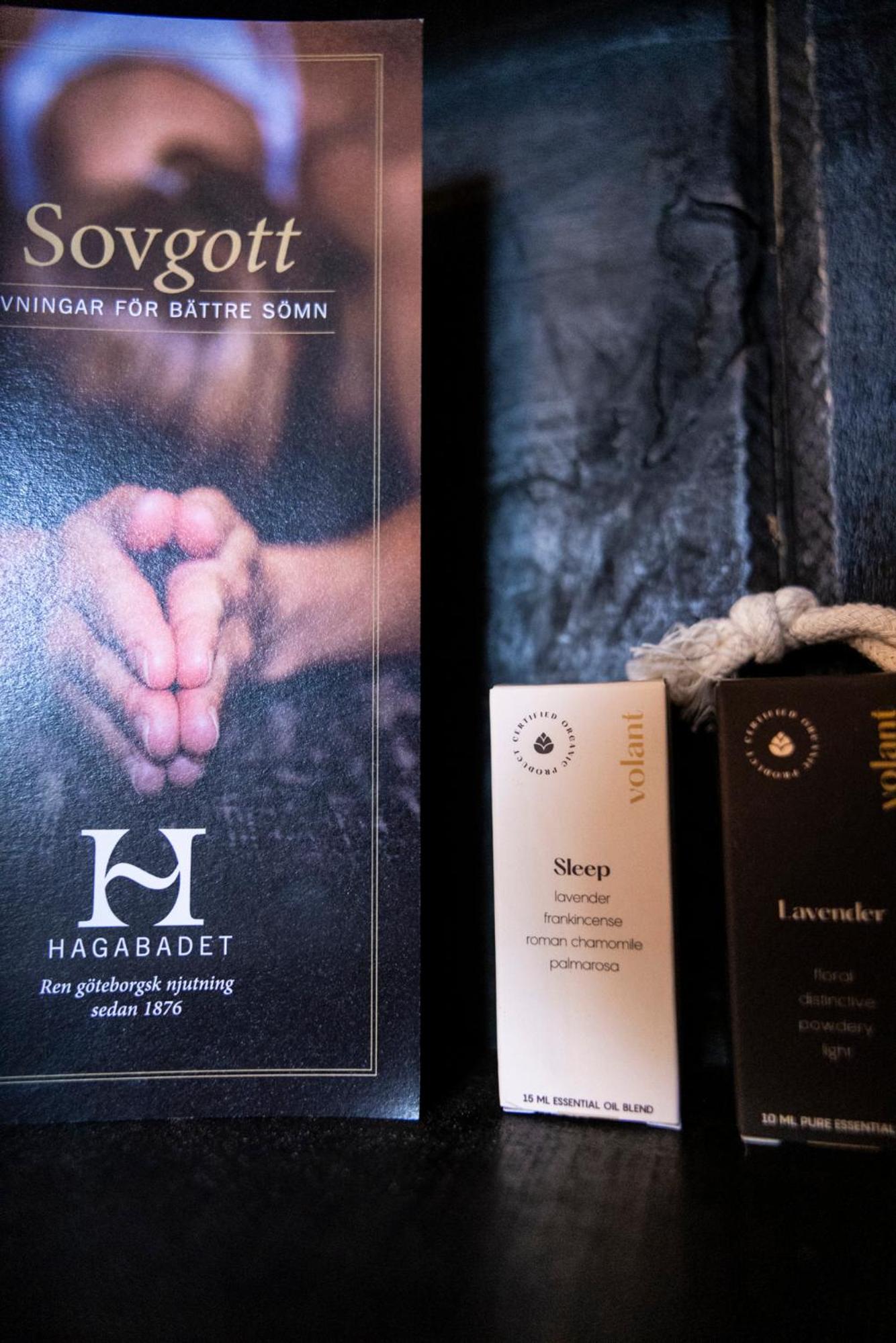 Penthouse Terrace Suite