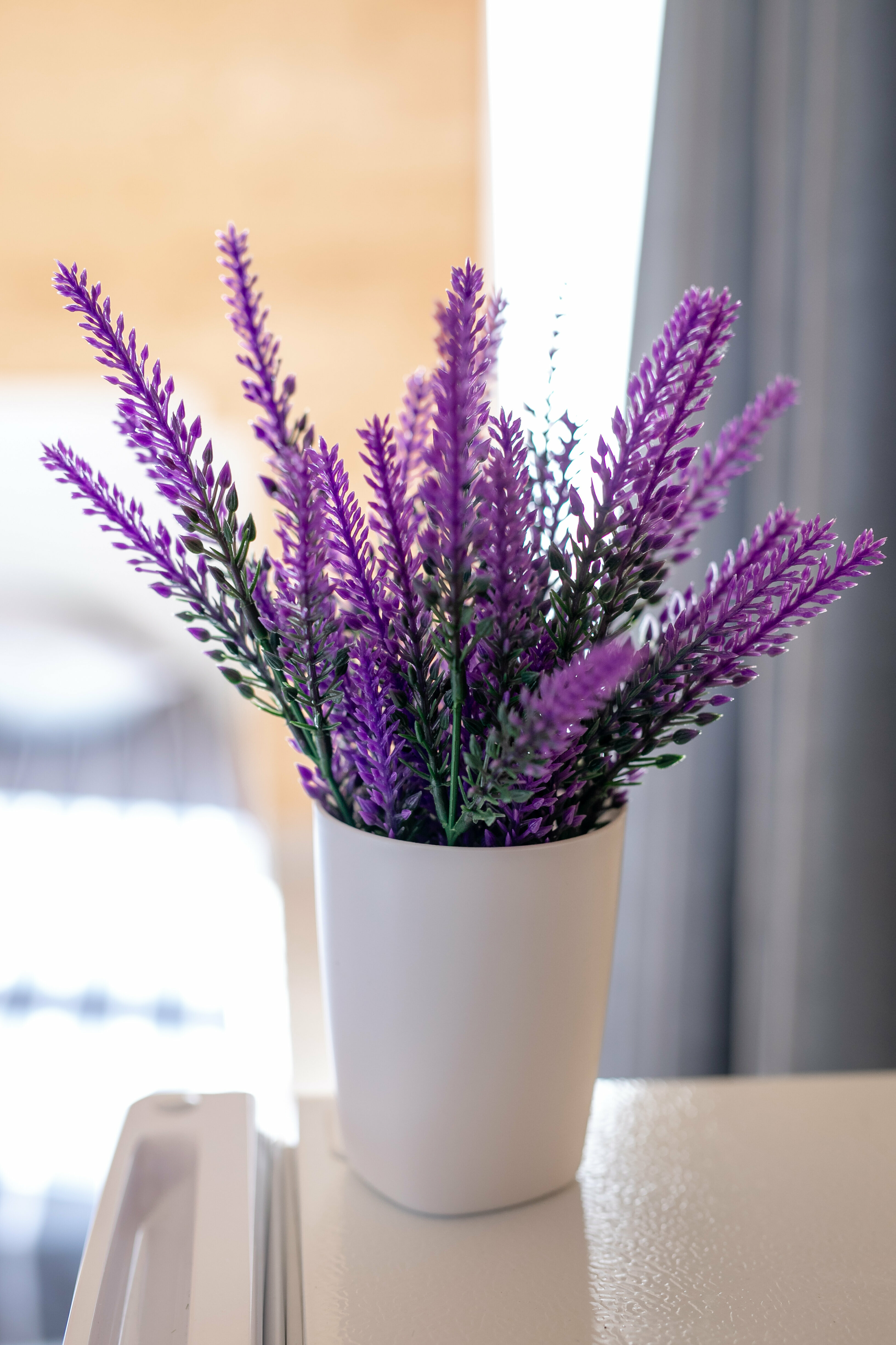 Дом с собственным бассейном