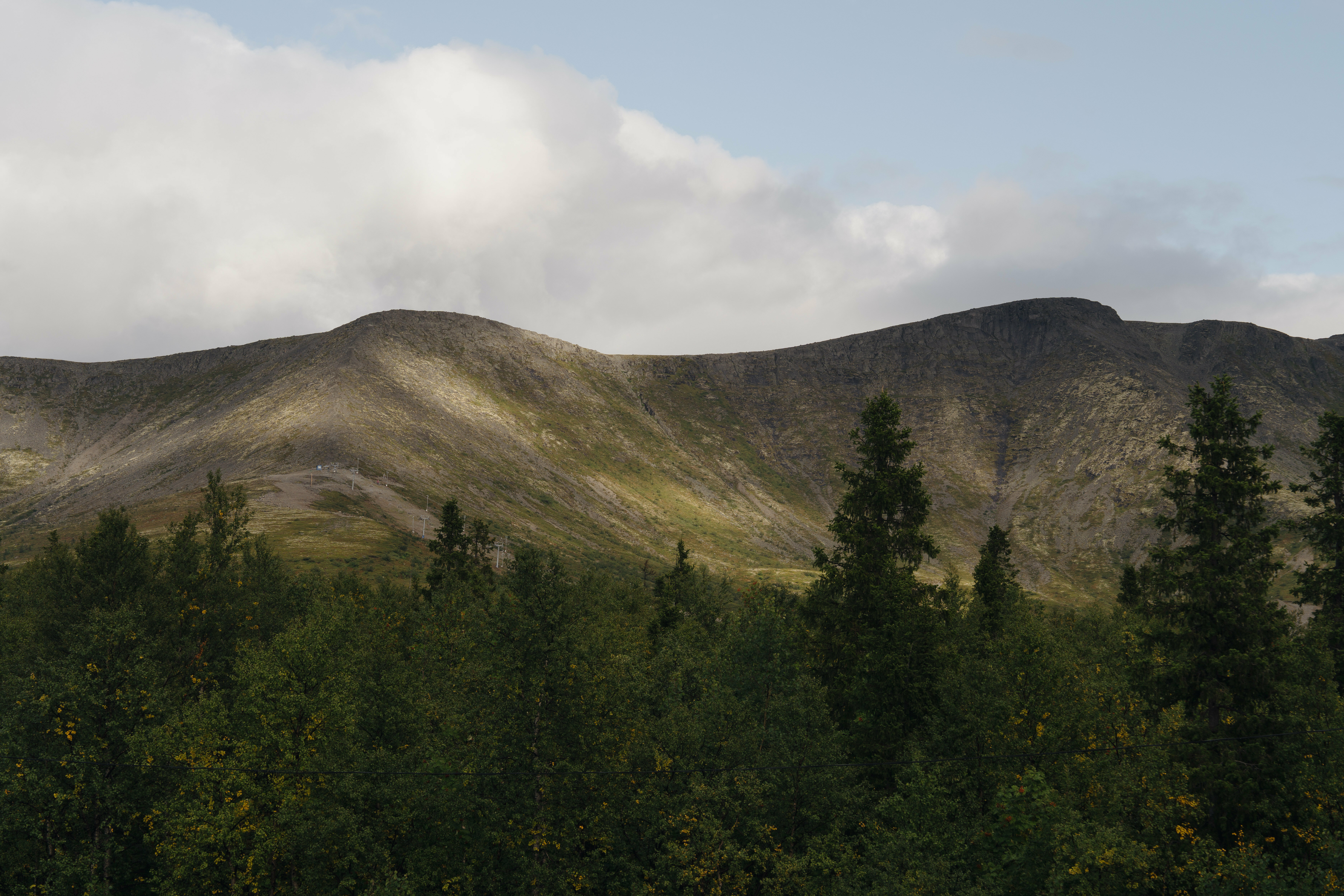 Видовой номер Комфорт с доп. местом