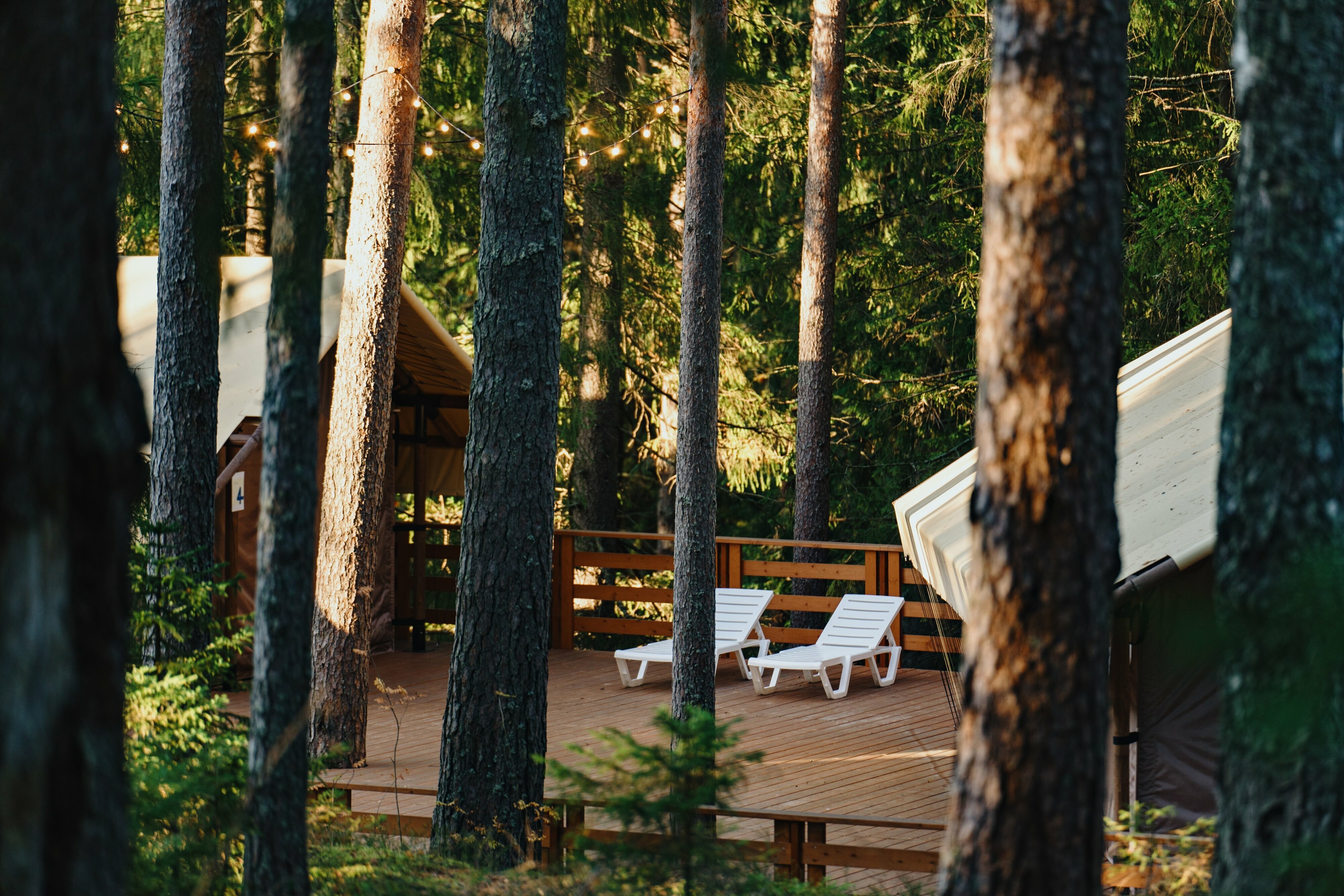 Лодж на холме с видом на лес