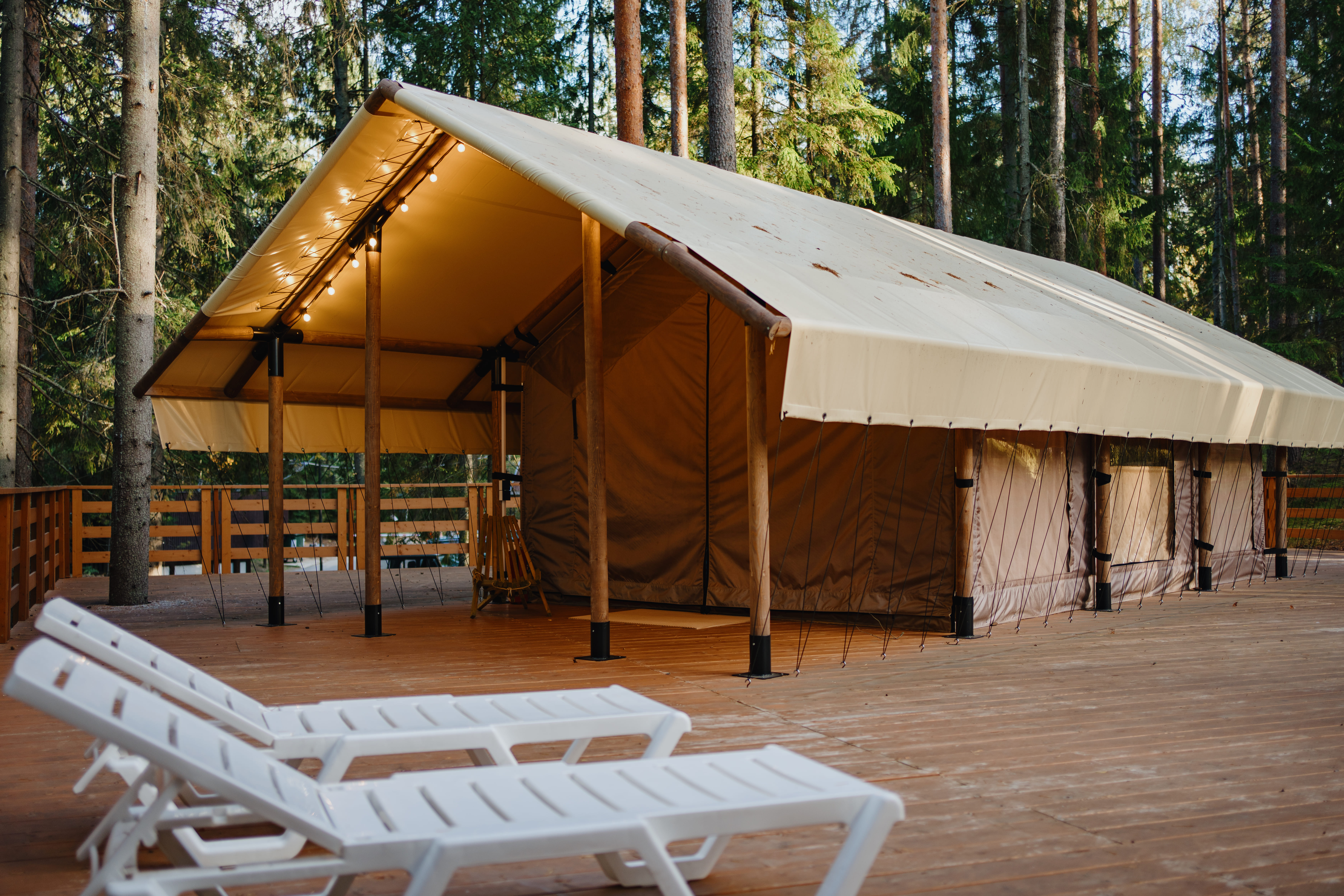 Лодж на холме с видом на лес