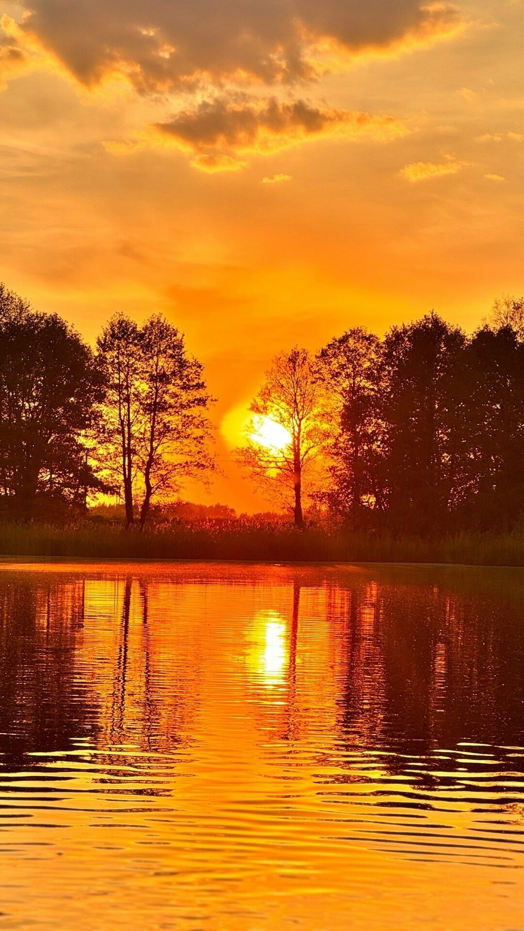 Дом для семейного отдыха