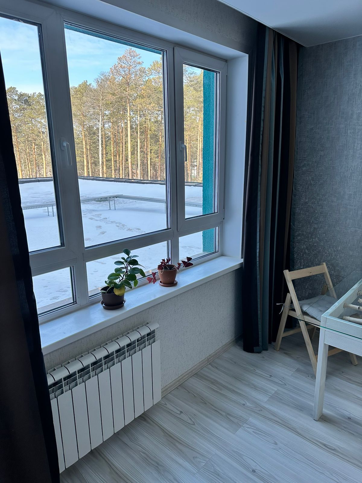 Двухместный номер с 1 кроватью и видом на парк