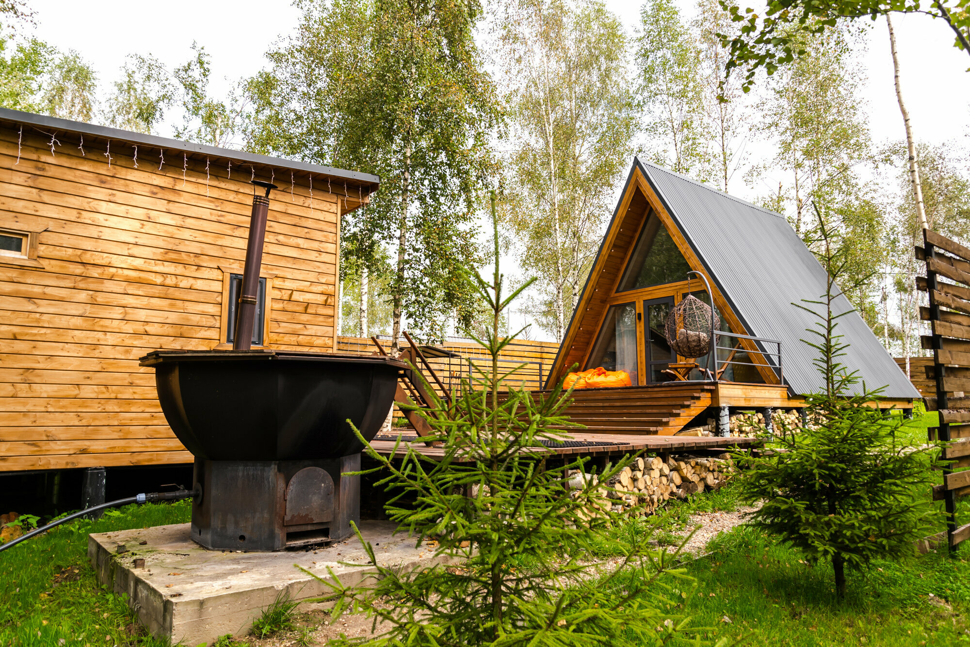 Дом с видом на лес