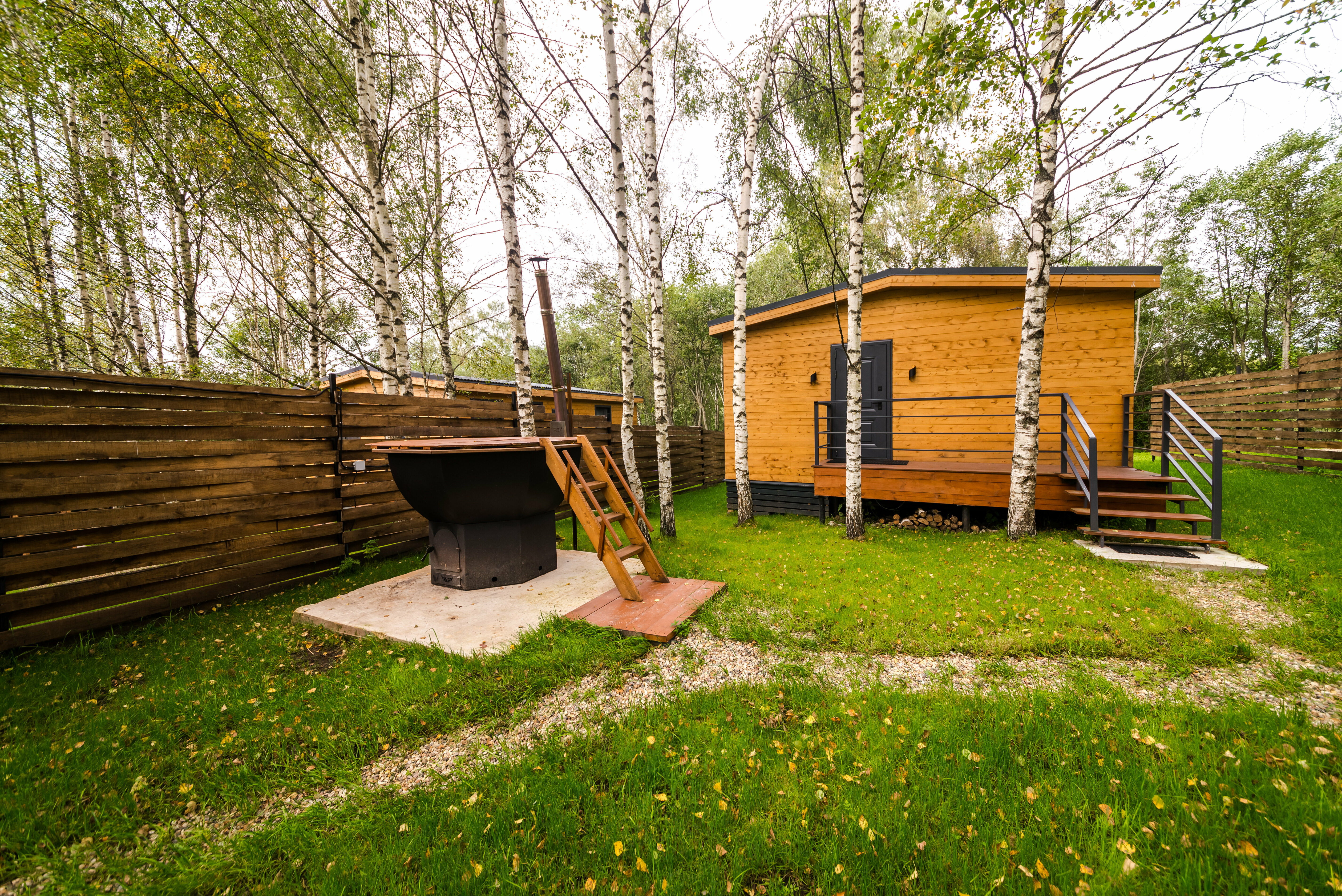 Дом с видом на лес