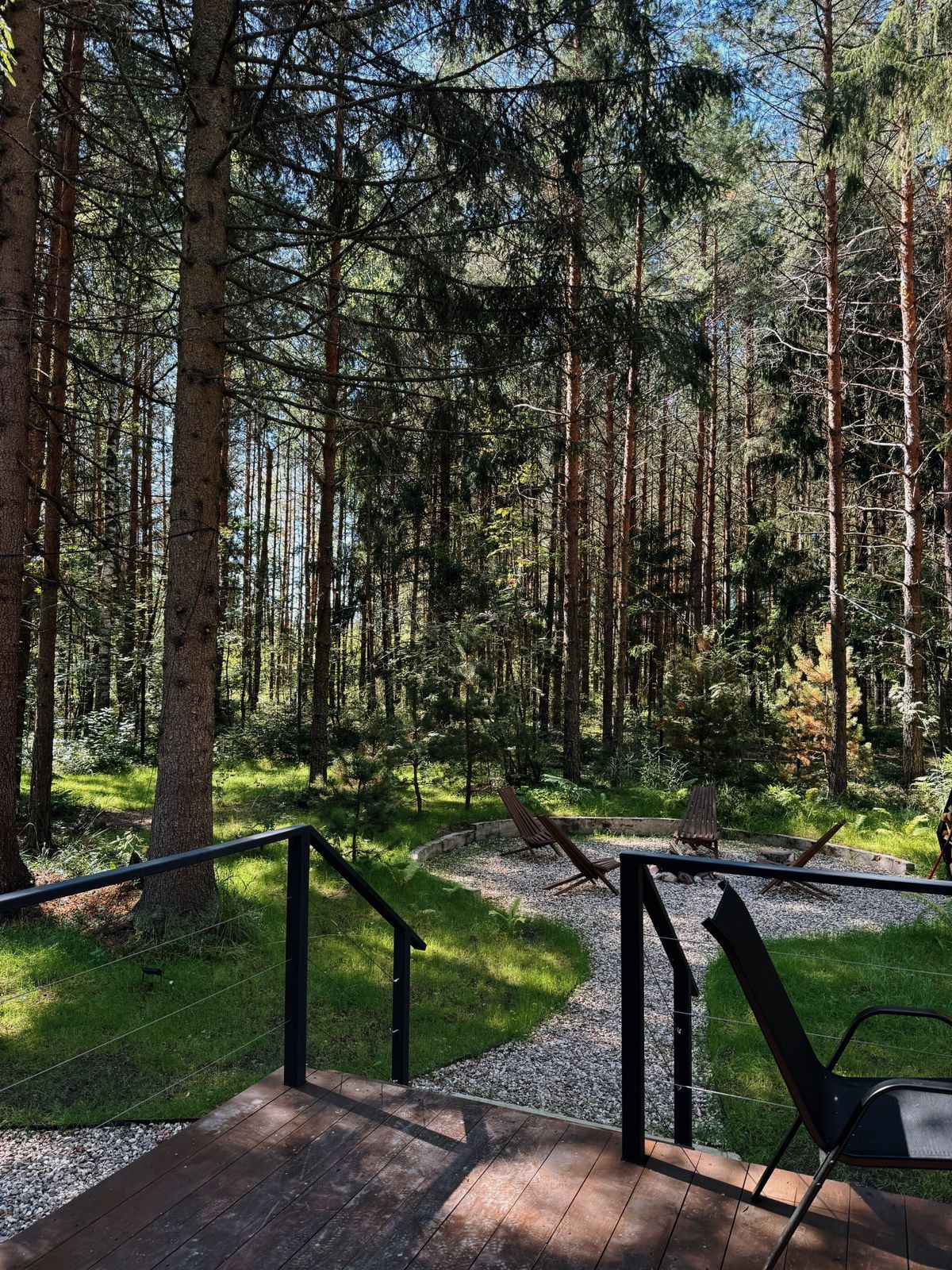 Дом с видом на лес