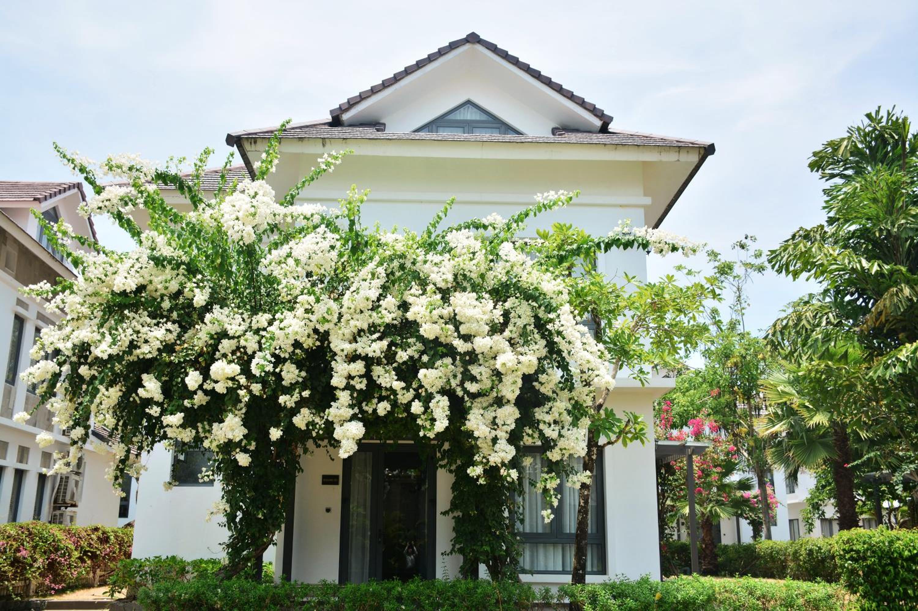  Three-Bedroom Villa with Garden View