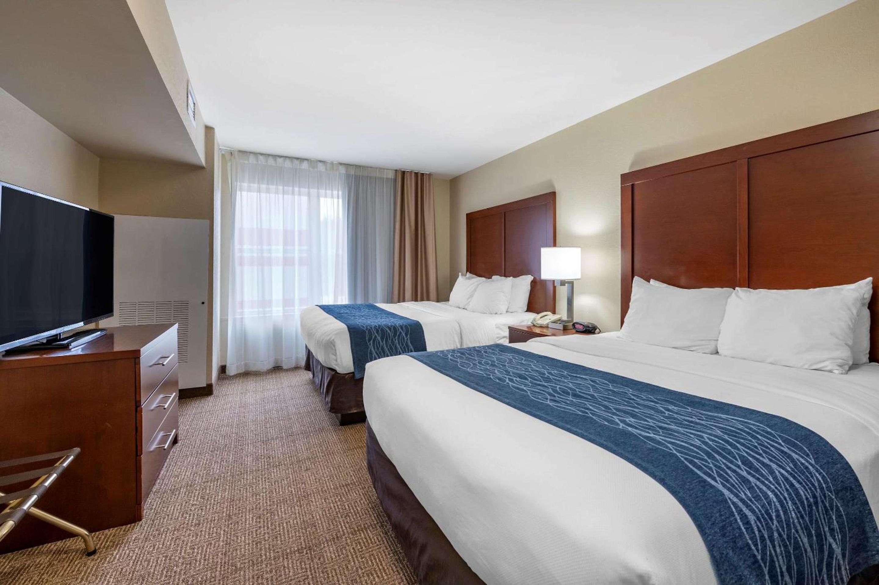 Queen Suite with Two Queen Beds and Sofa Bed