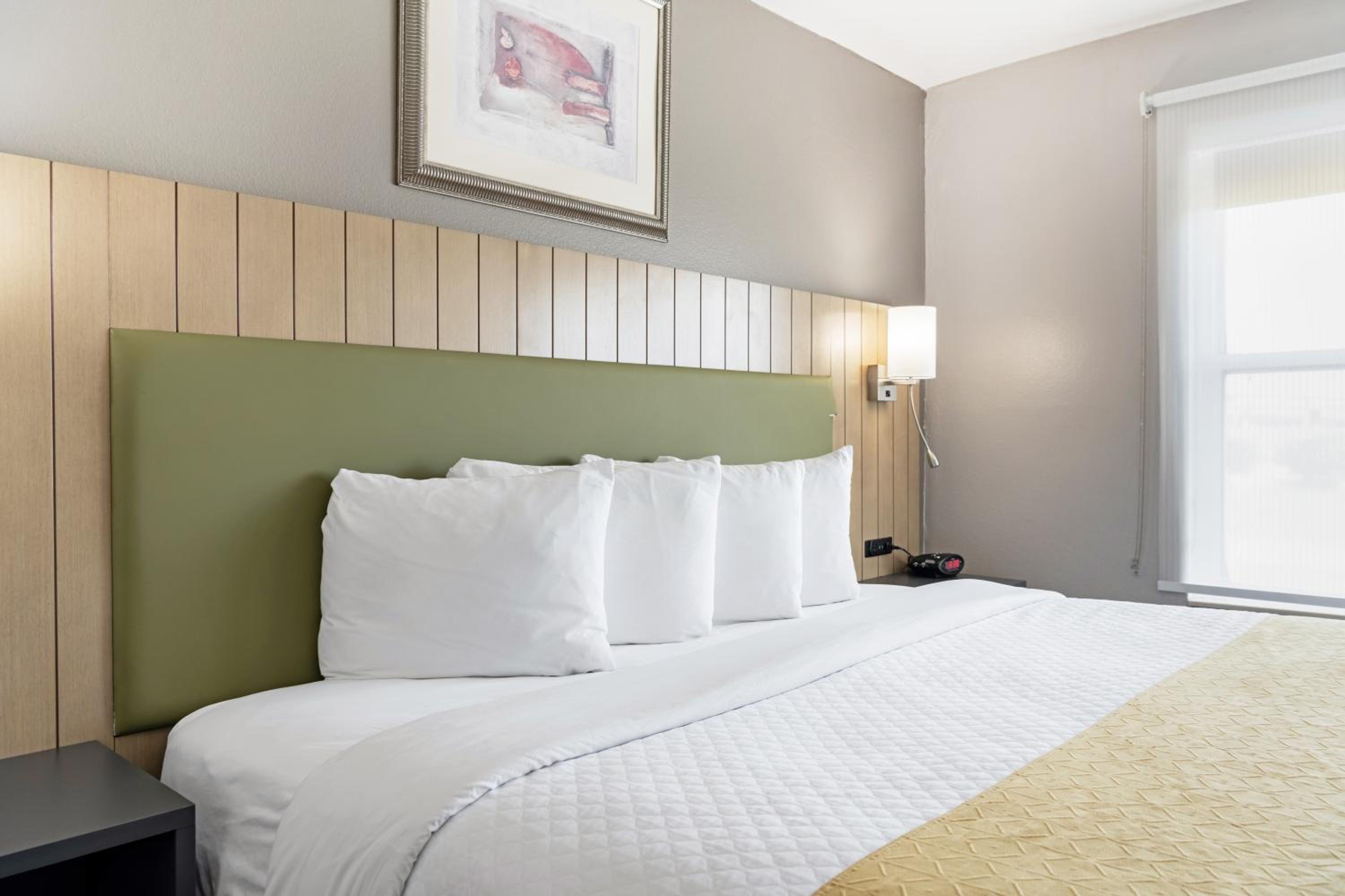 One-Bedroom King Suite with Sofa Bed - Non-Smoking