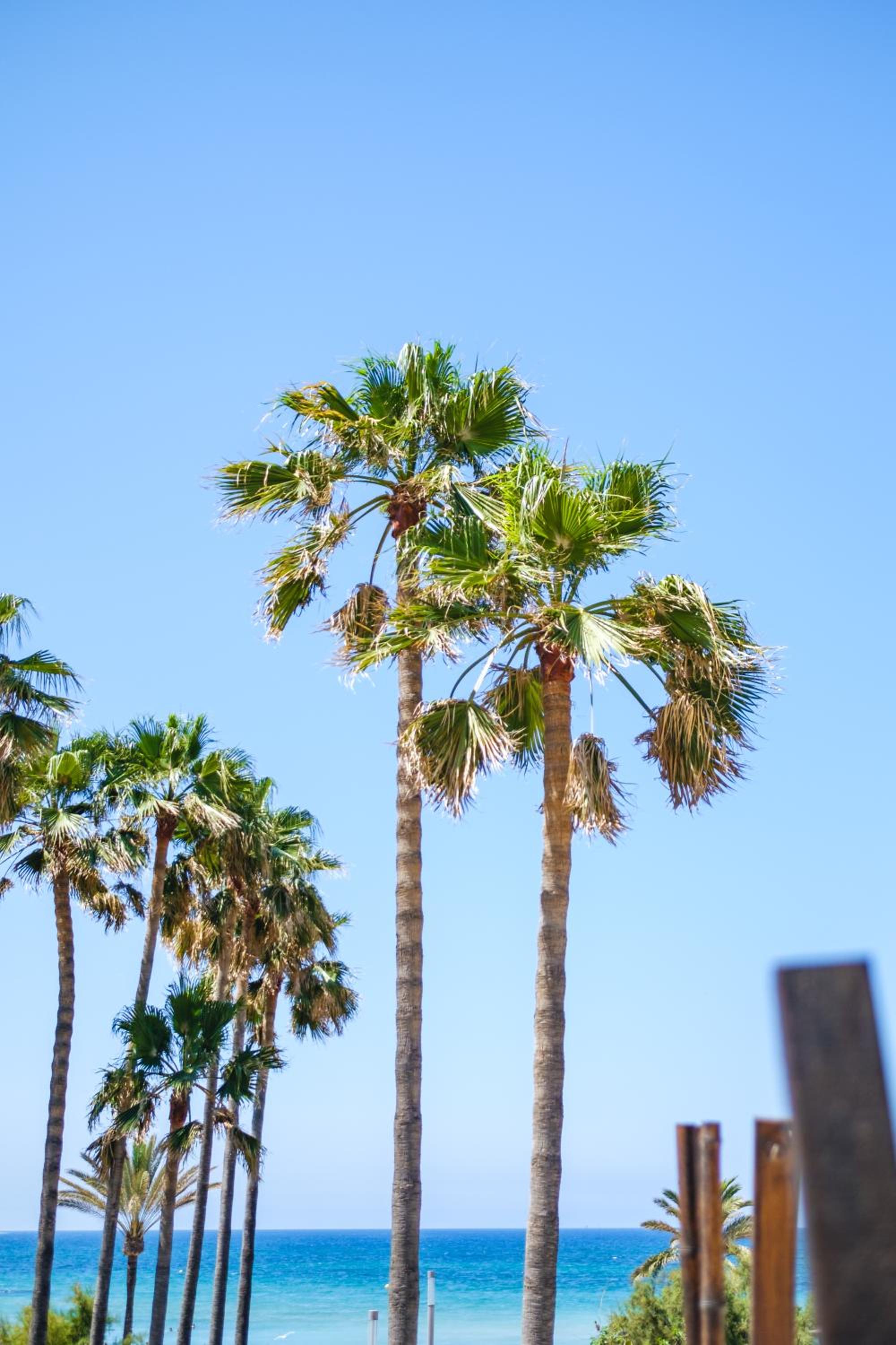 Twin Room with Panoramic Terrace and Sea View
