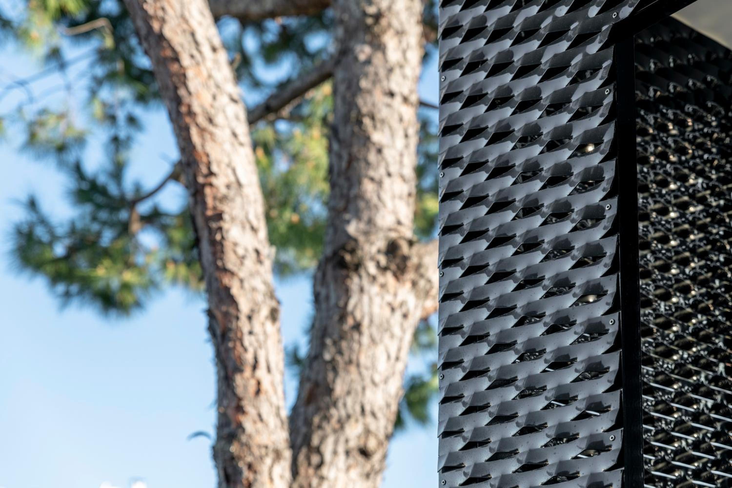 One-Bedroom Suite (4 Adults)