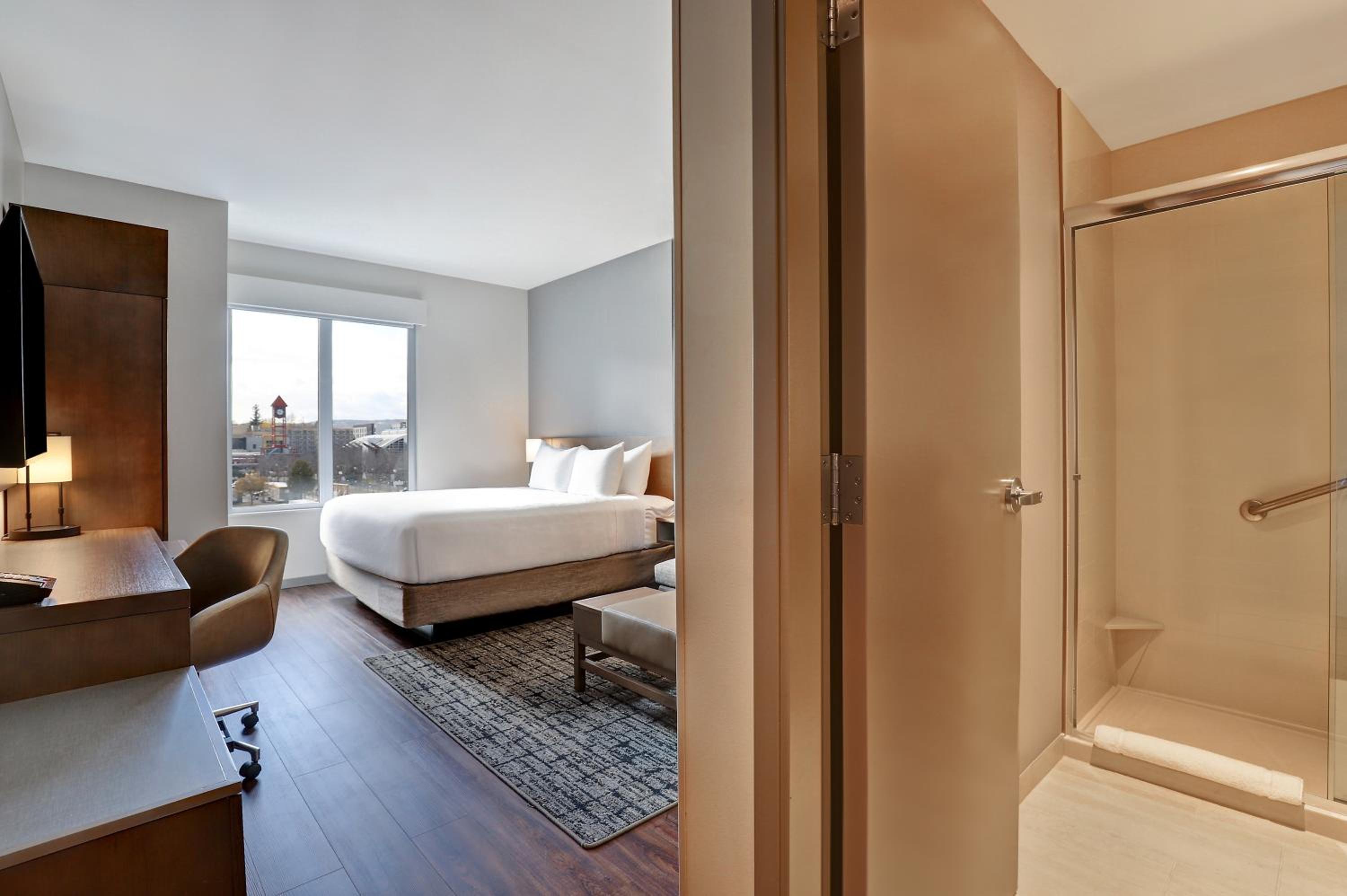 Specialty King Disability Room with Kitchenette