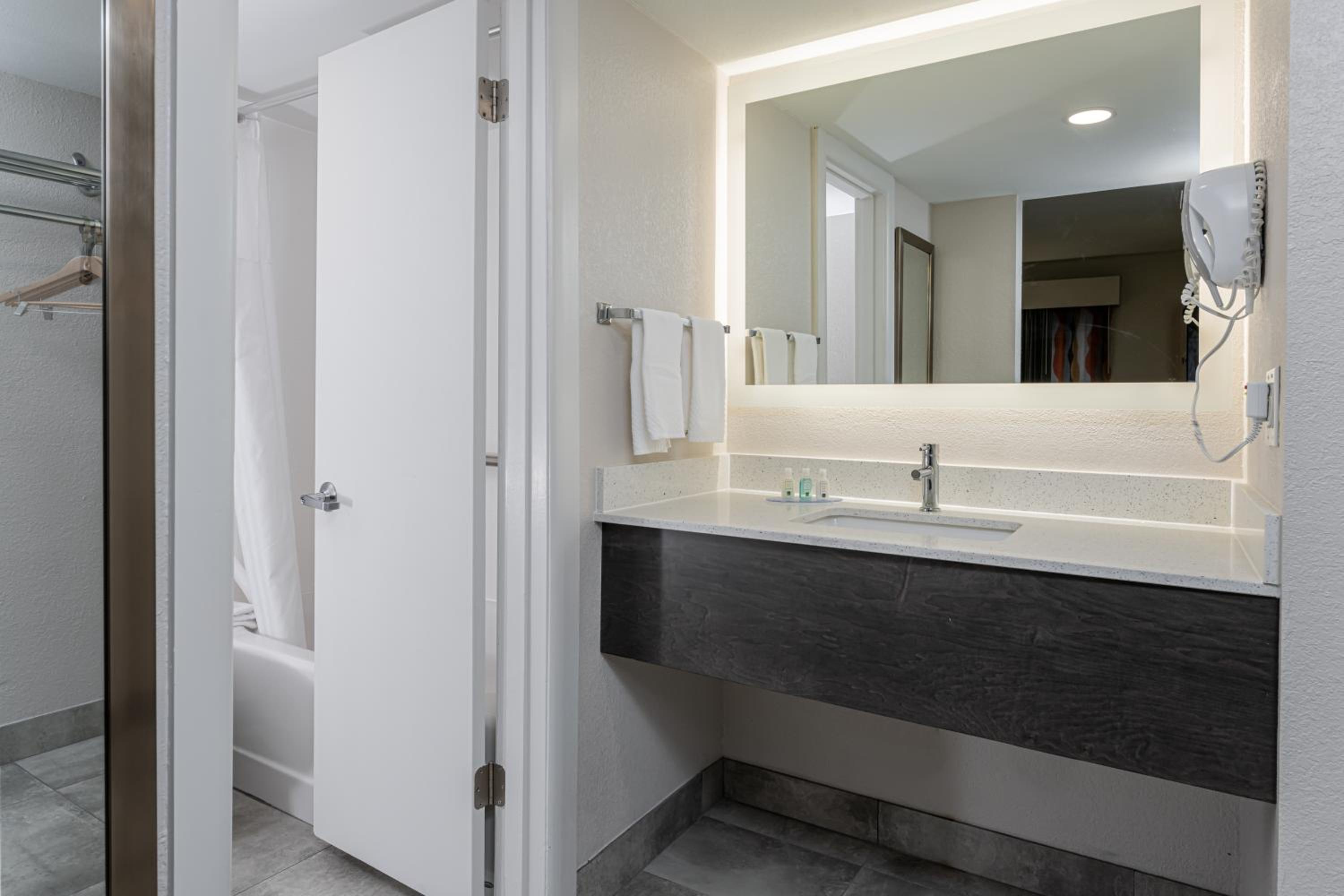 King Room - Non-Smoking/Pet-Friendly