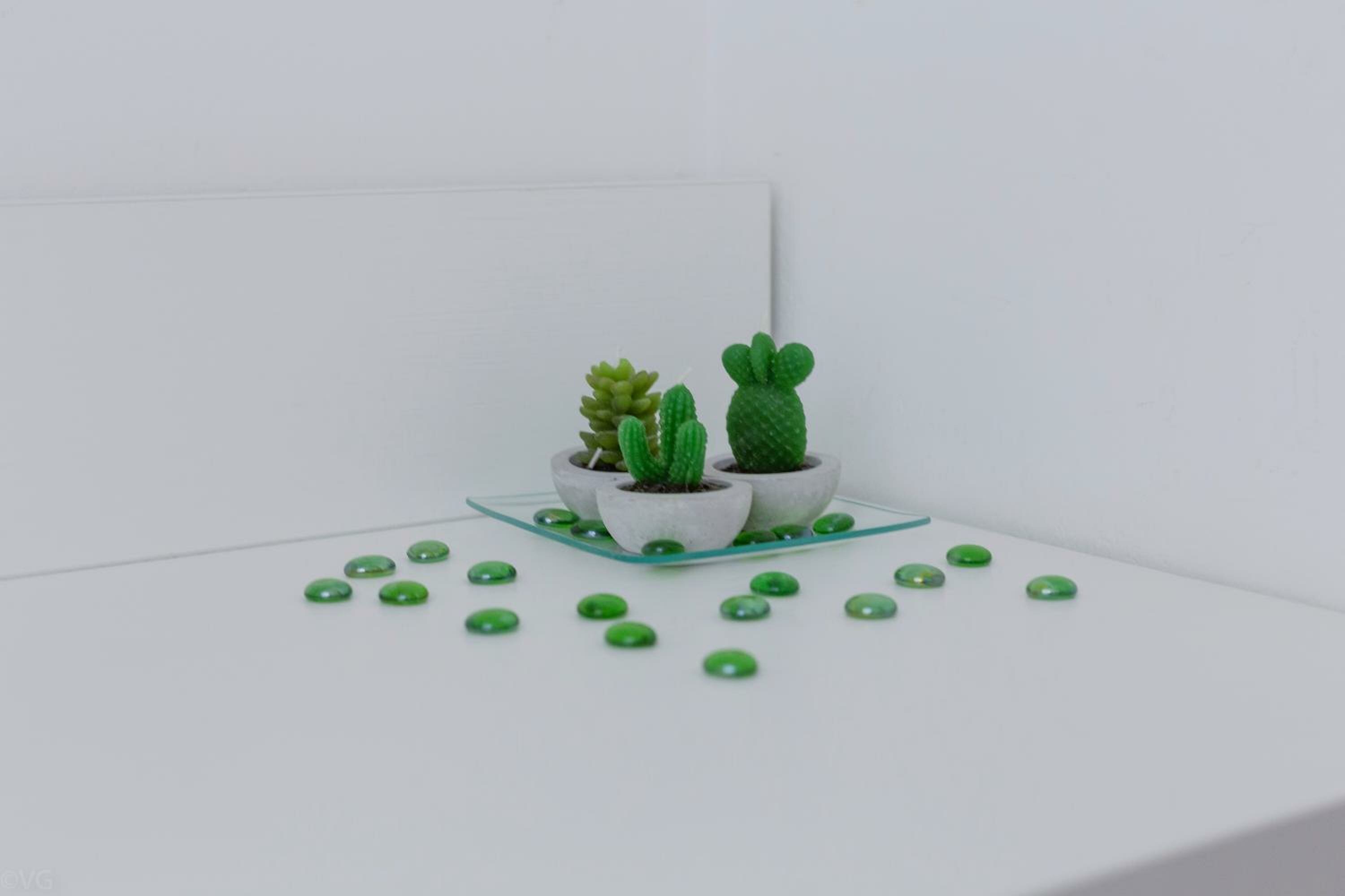 Single Room with Balcony