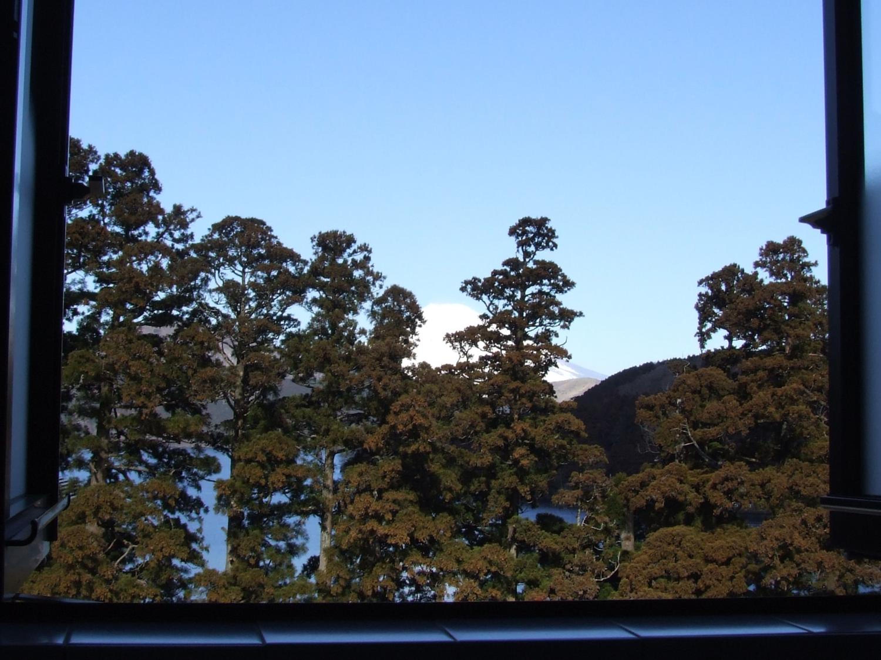 Japanese-Style Twin Room