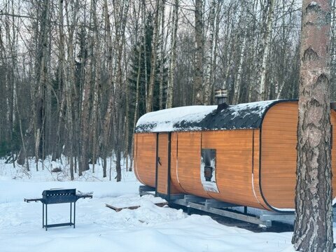 Дом с видом на лес