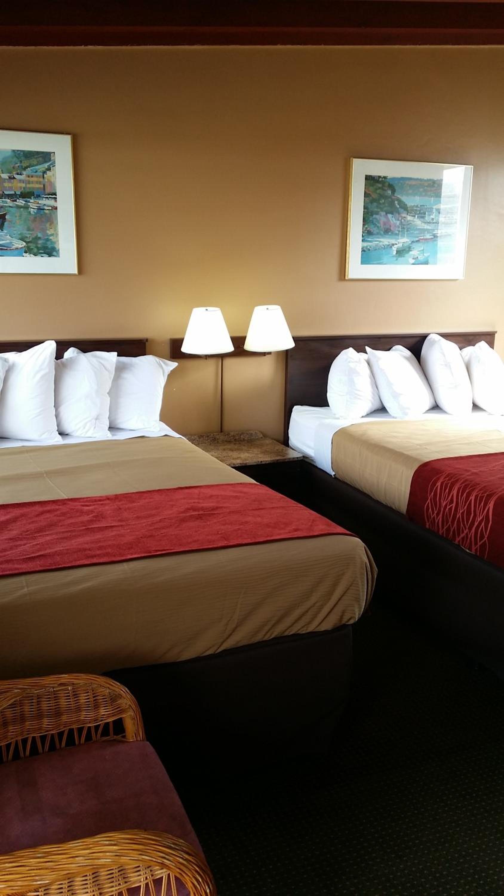 Standard Double Room with Two Double Beds