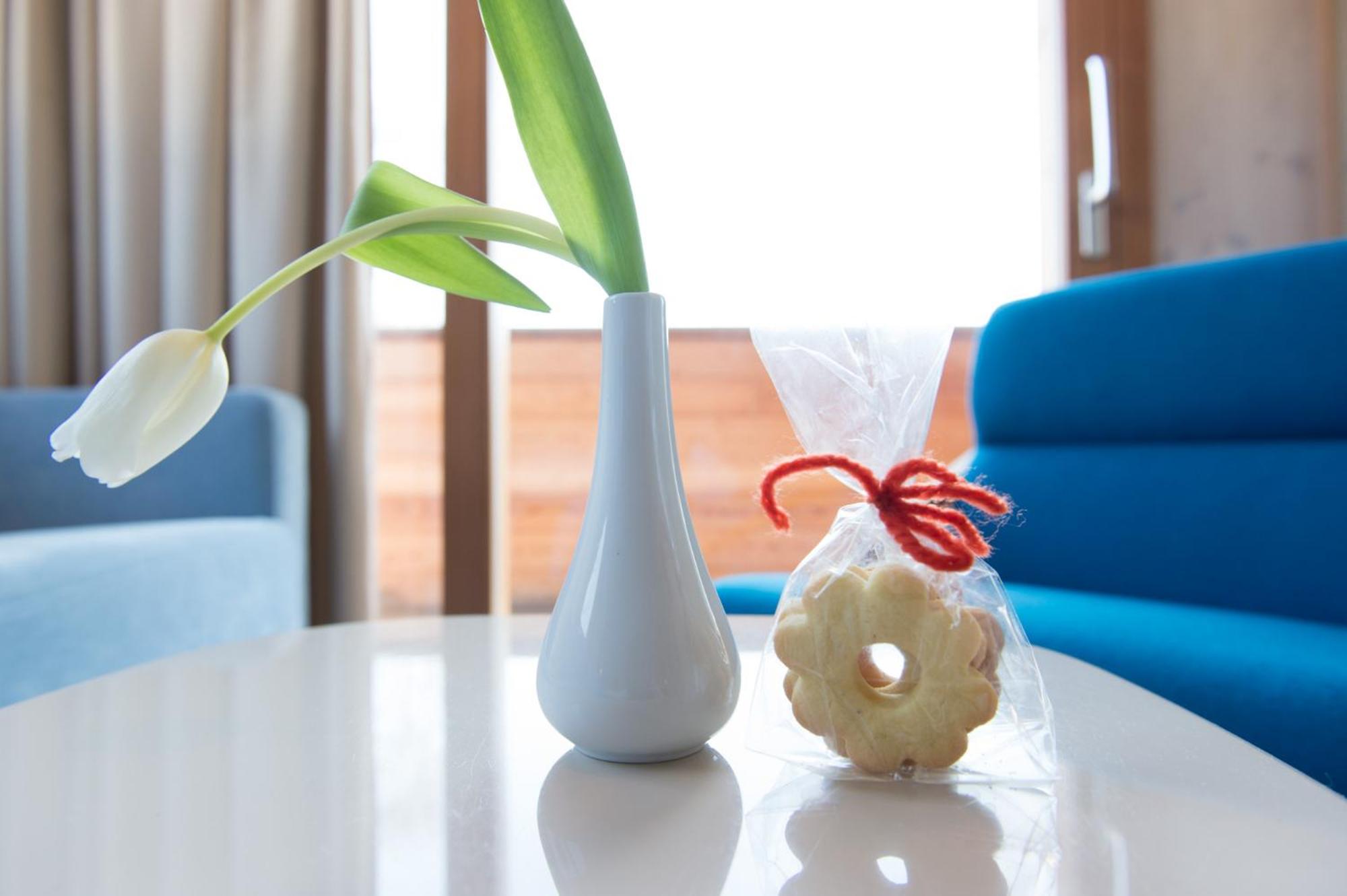 Junior Suite with Terrace