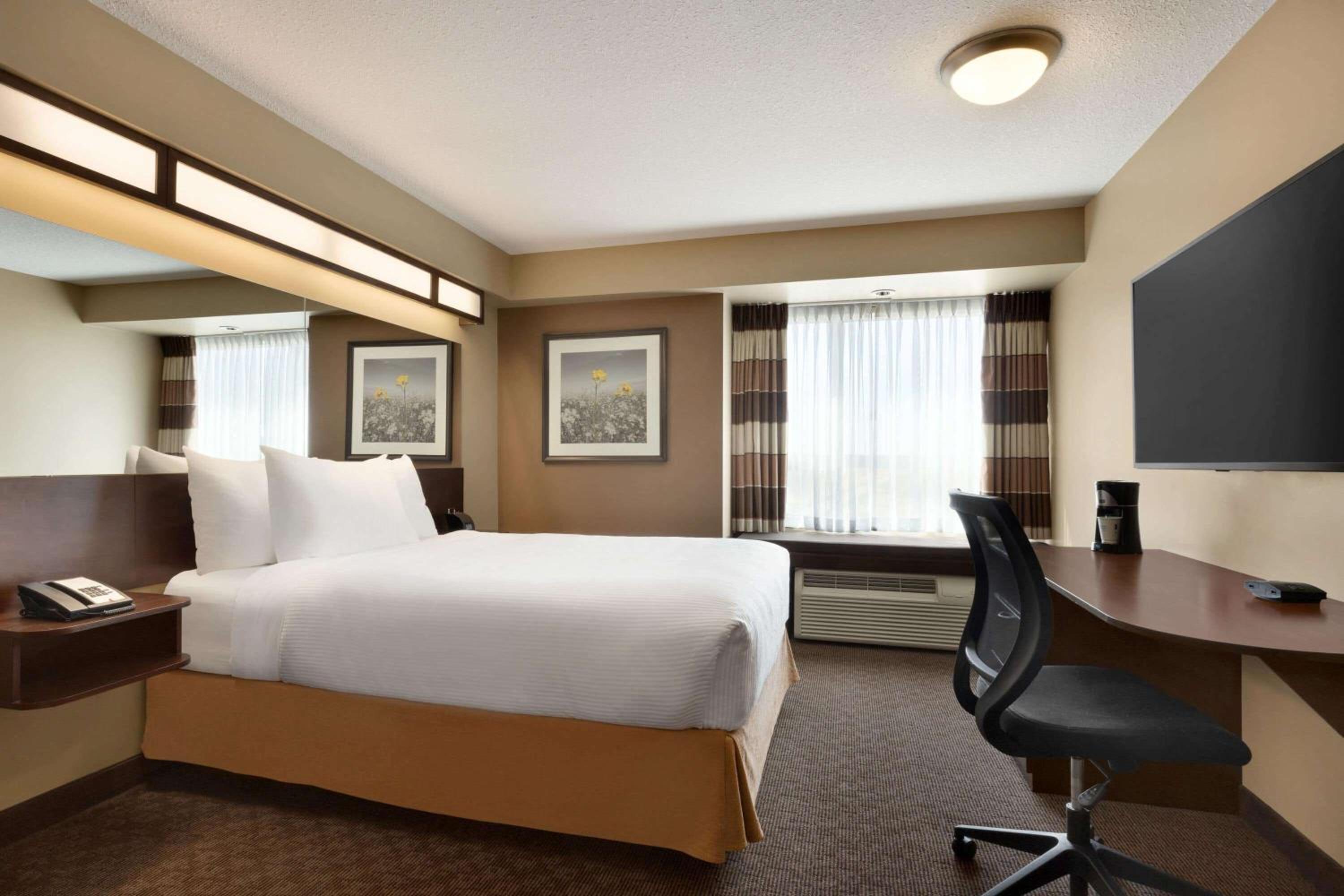 Queen Room with Roll-In Shower - Mobility Accessible/Non-Smoking