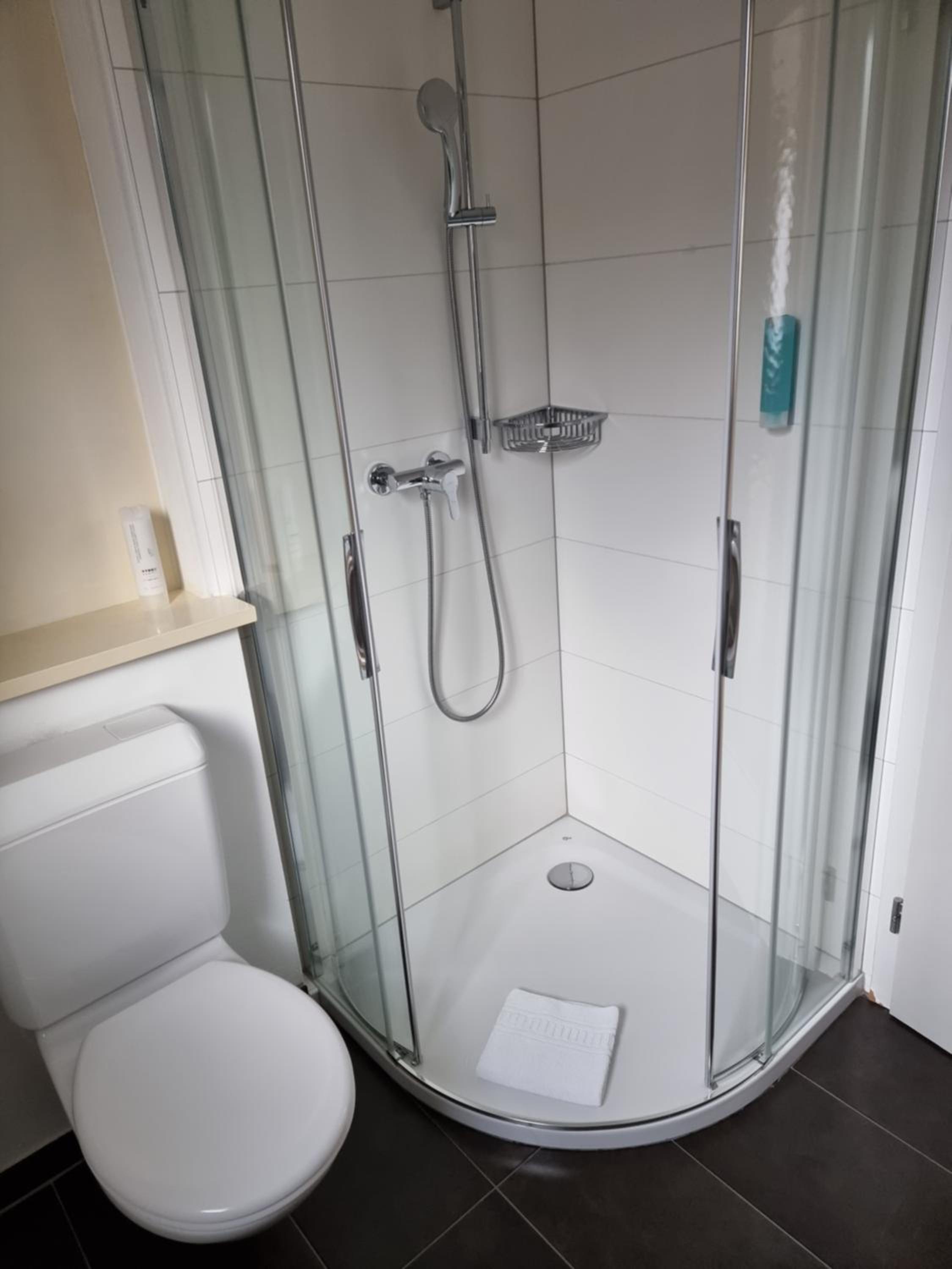 Junior Suite with Balcony and Lake View