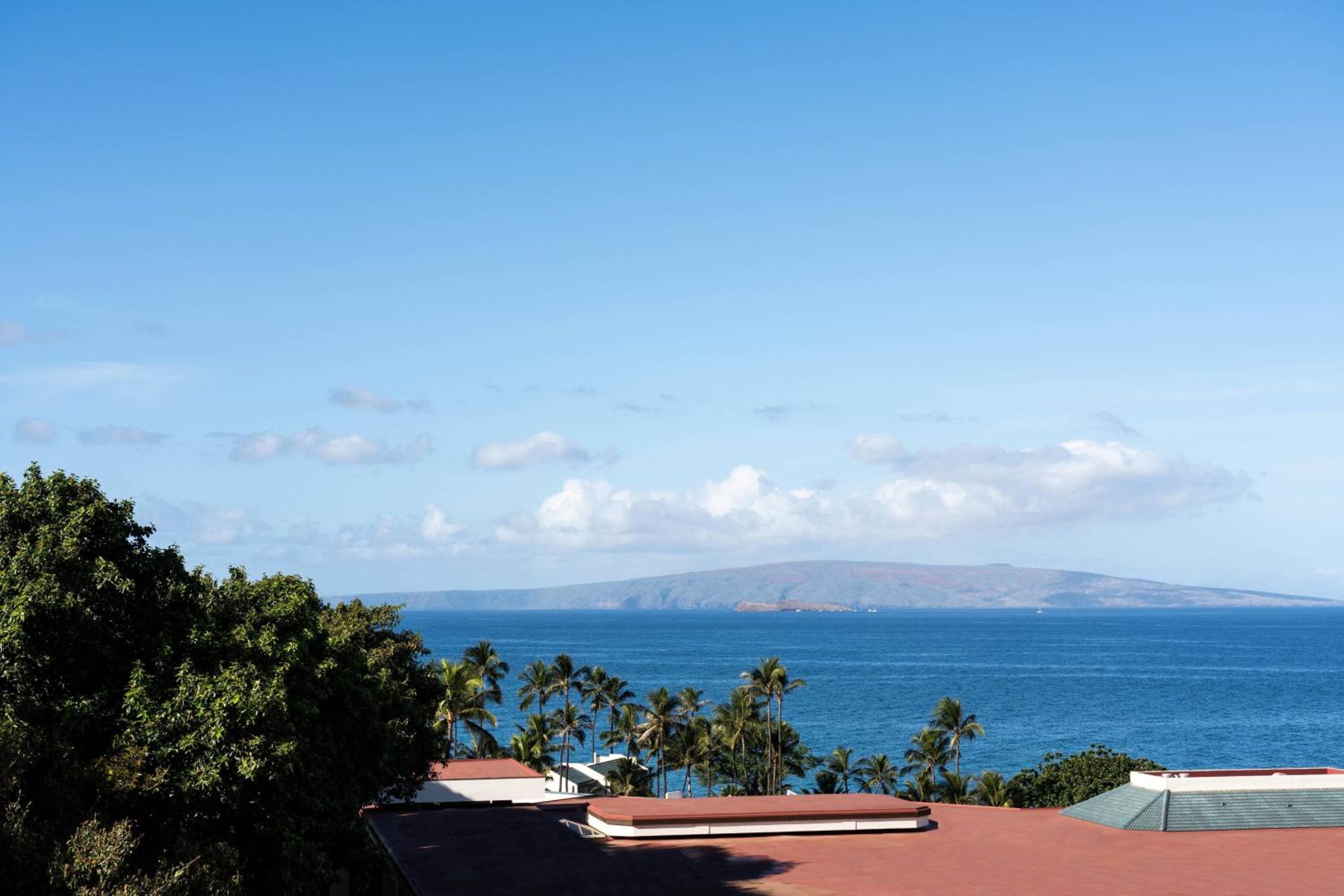 Junior Suite, 1 King, Balcony