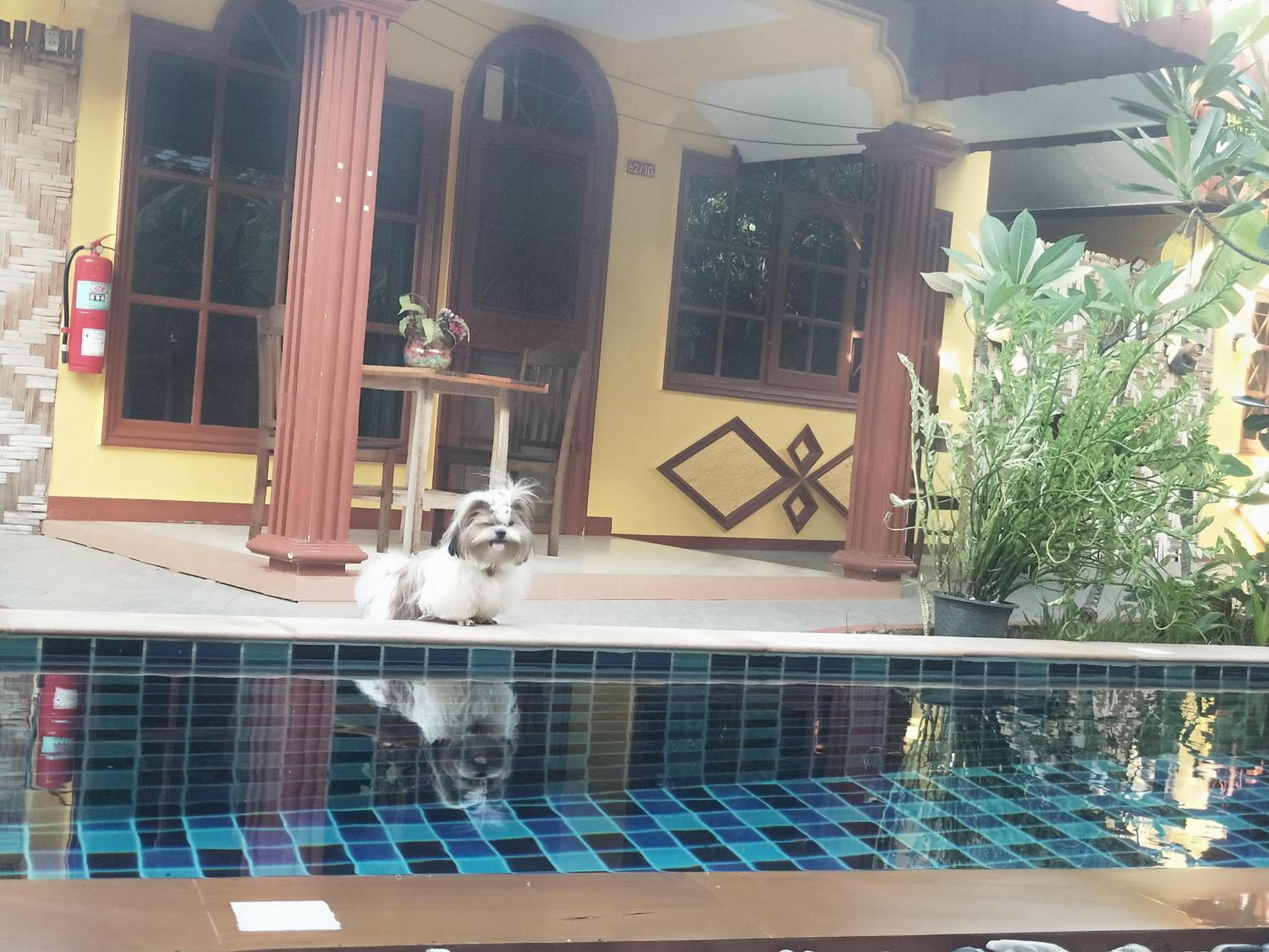 Superior Villa