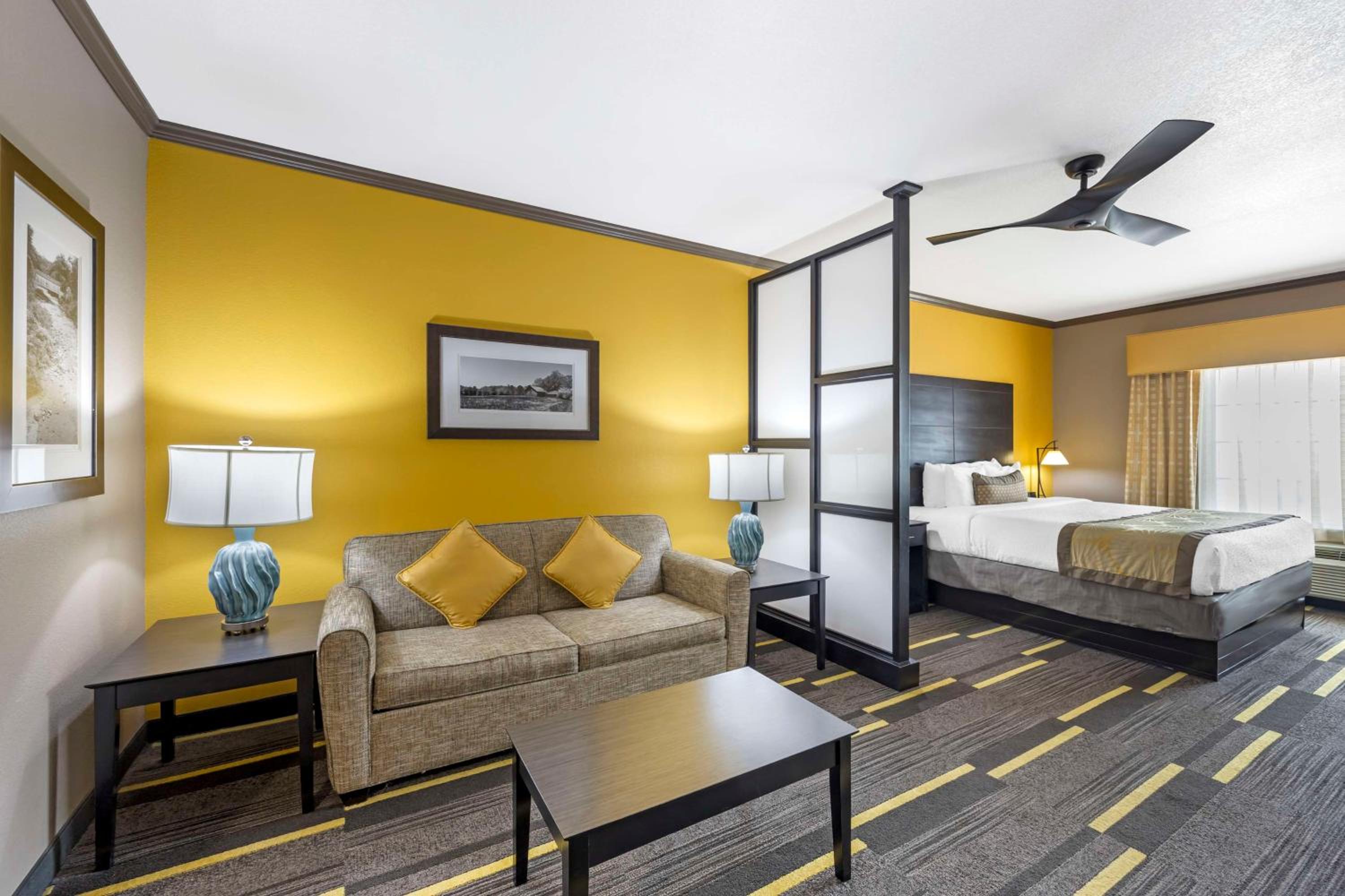 King Suite with One King Bed and Sofa Bed - Non-Smoking