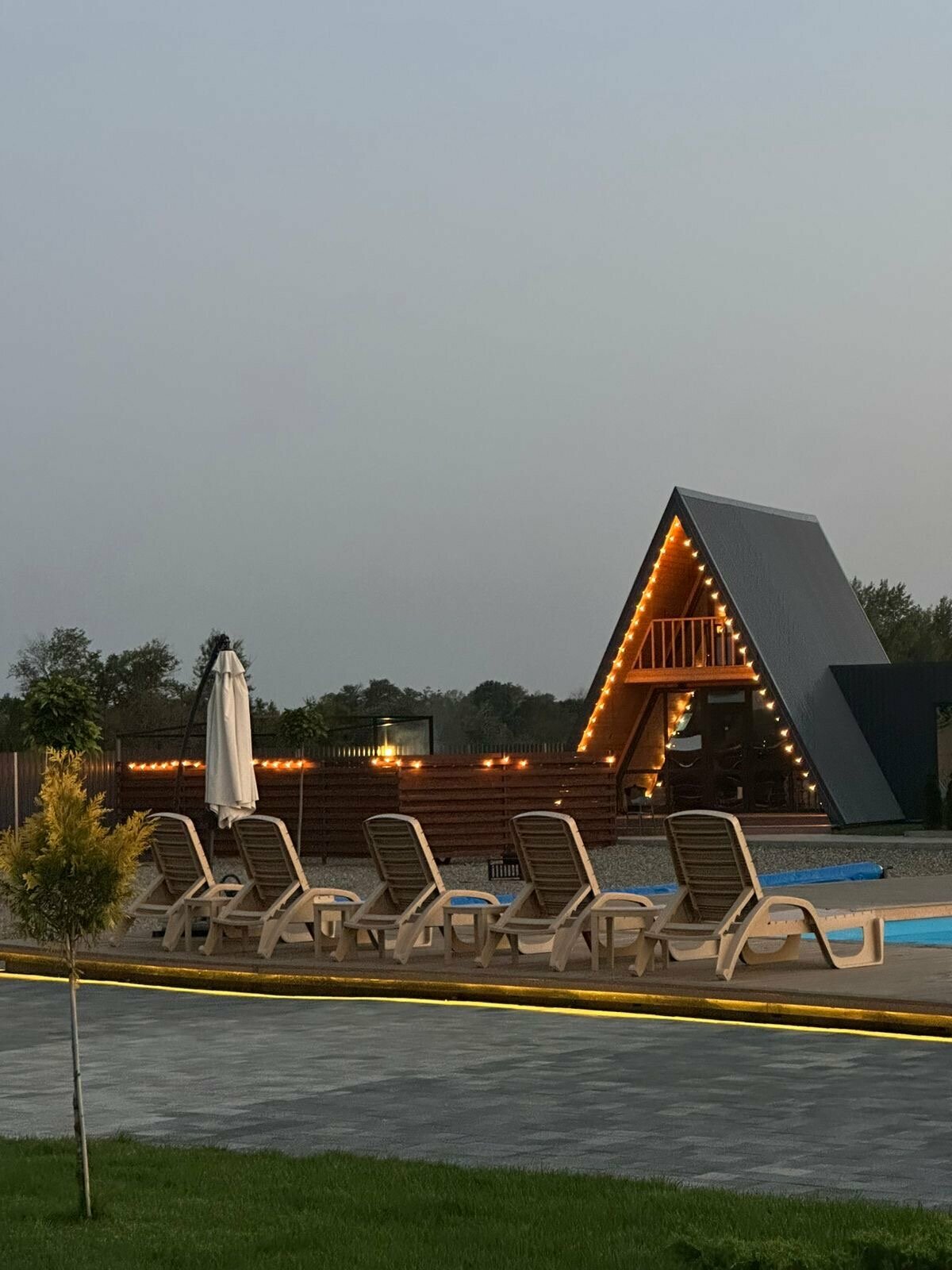 Дом с видом на лес