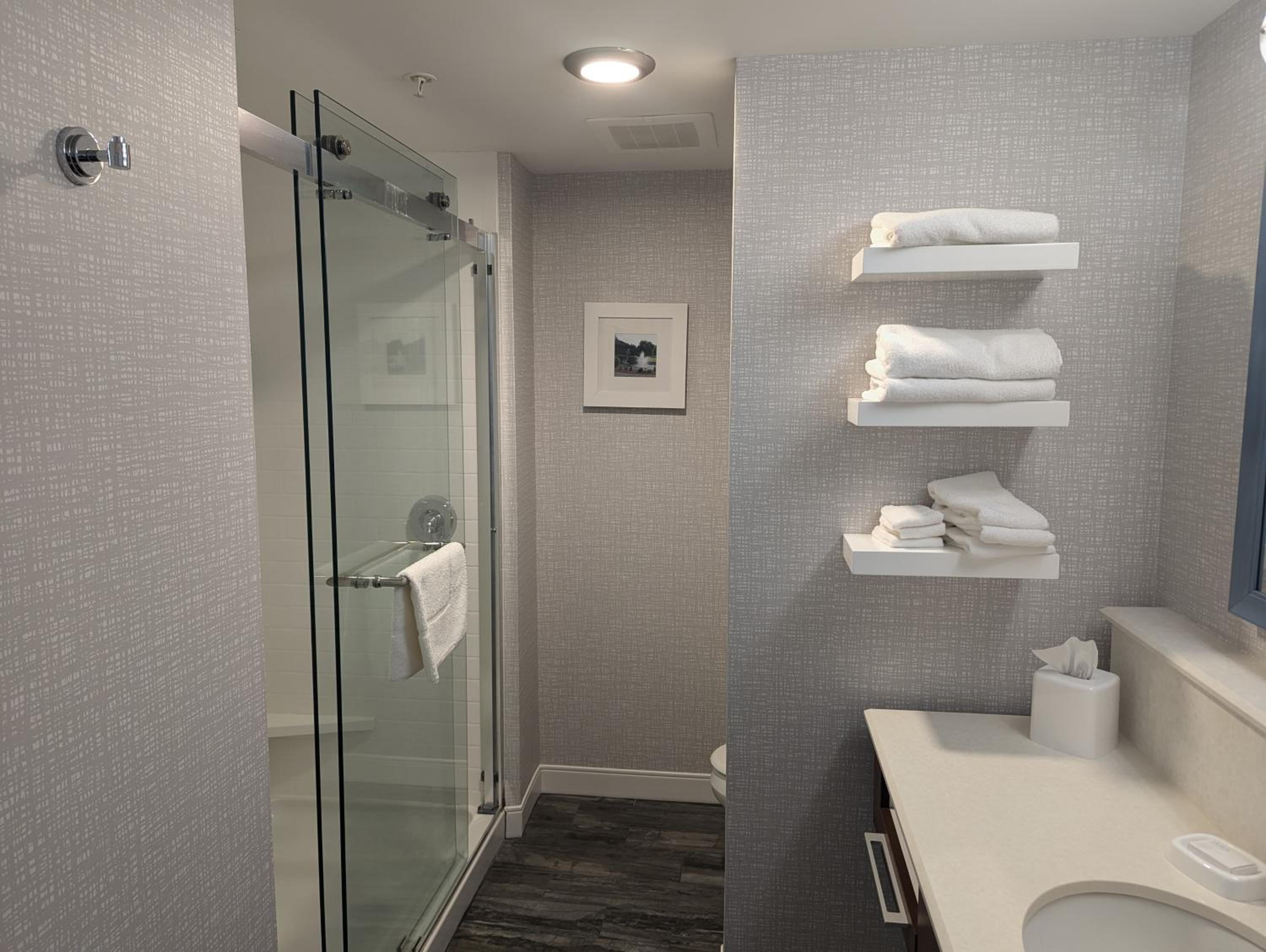 King Room with Sofa Bed - Hearing Accessible/Non-Smoking