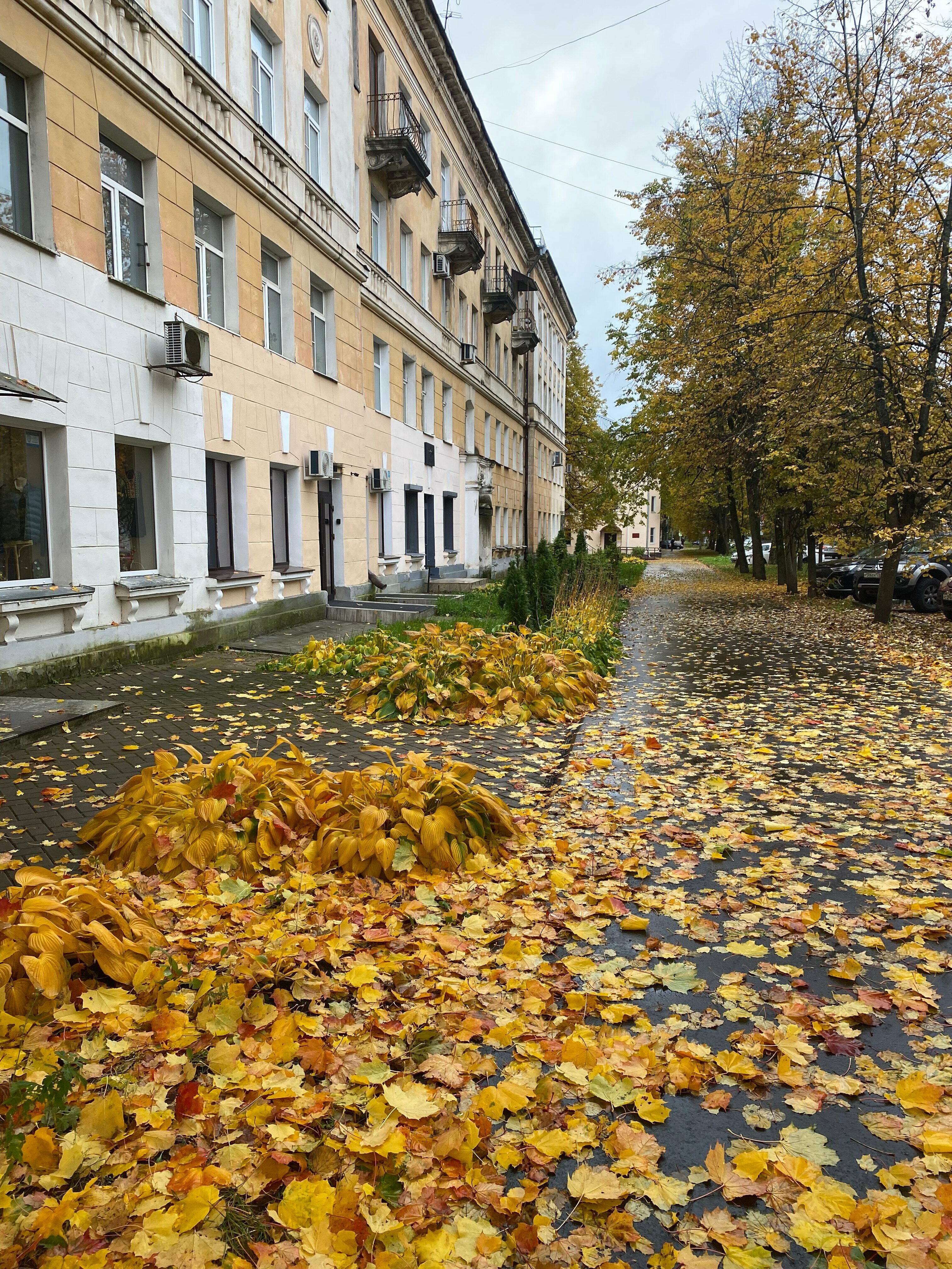 Апартаменты с  2 спальнями  и отдельным входом