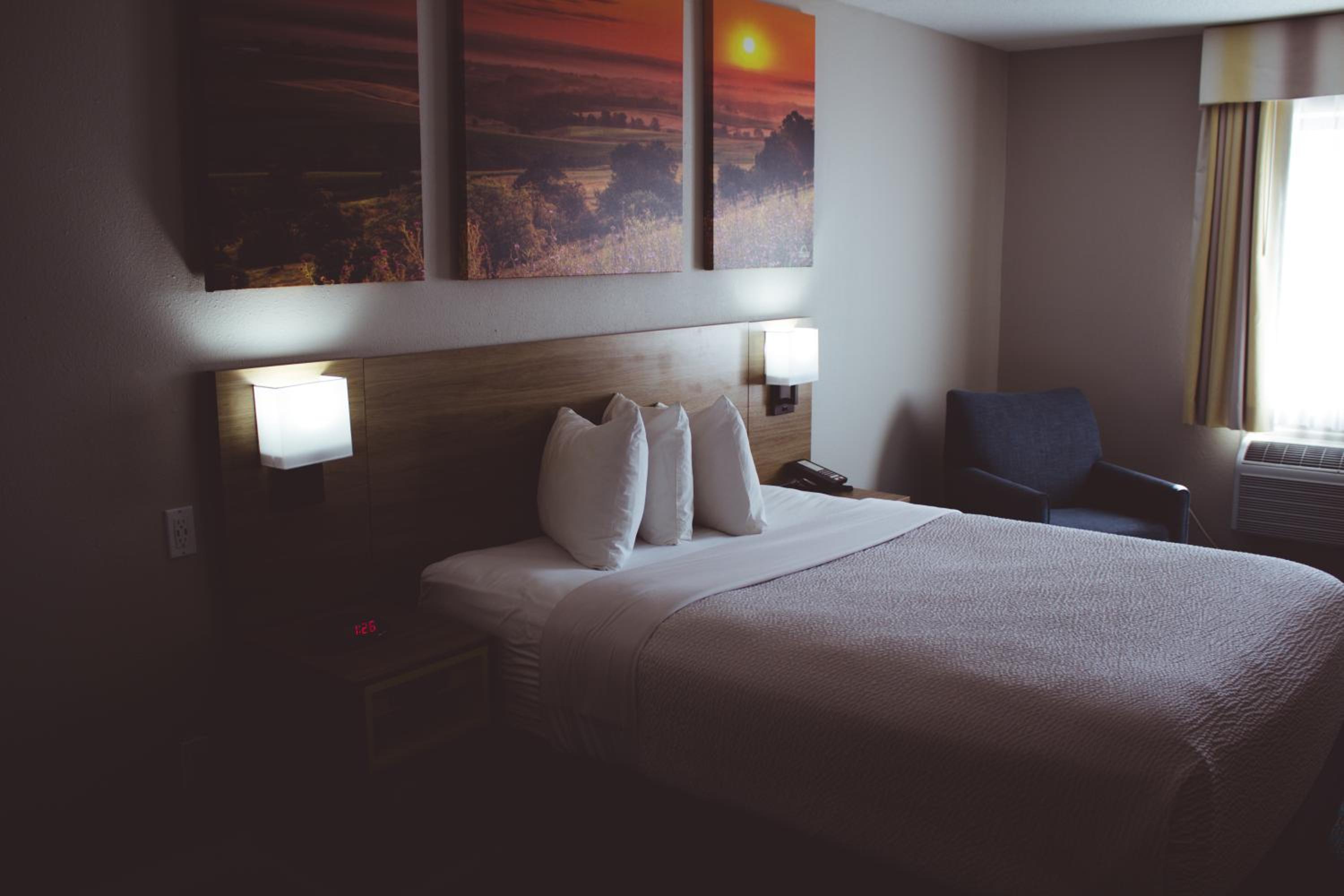 King Room - Pet Friendly/Non-Smoking