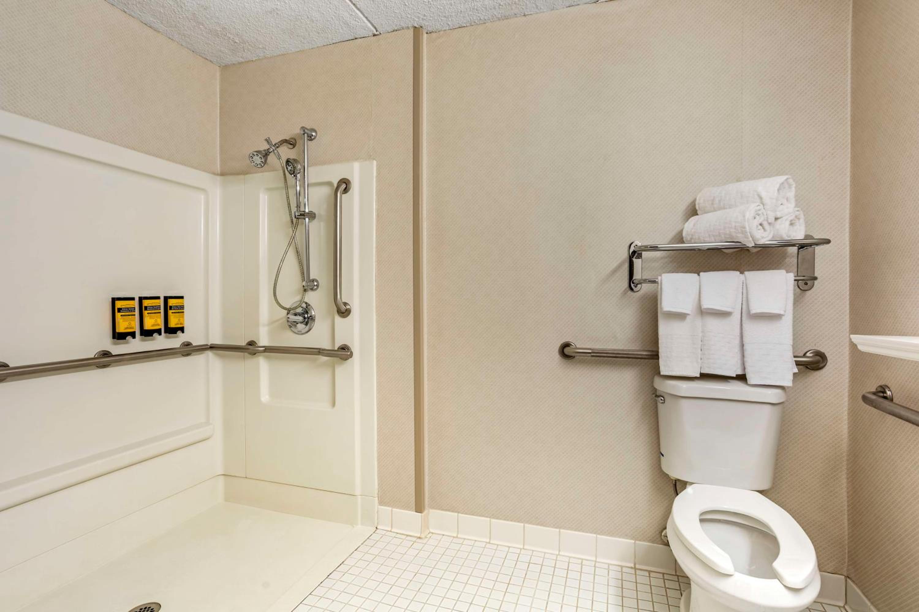 King Room with Roll-In Shower - Disability Access