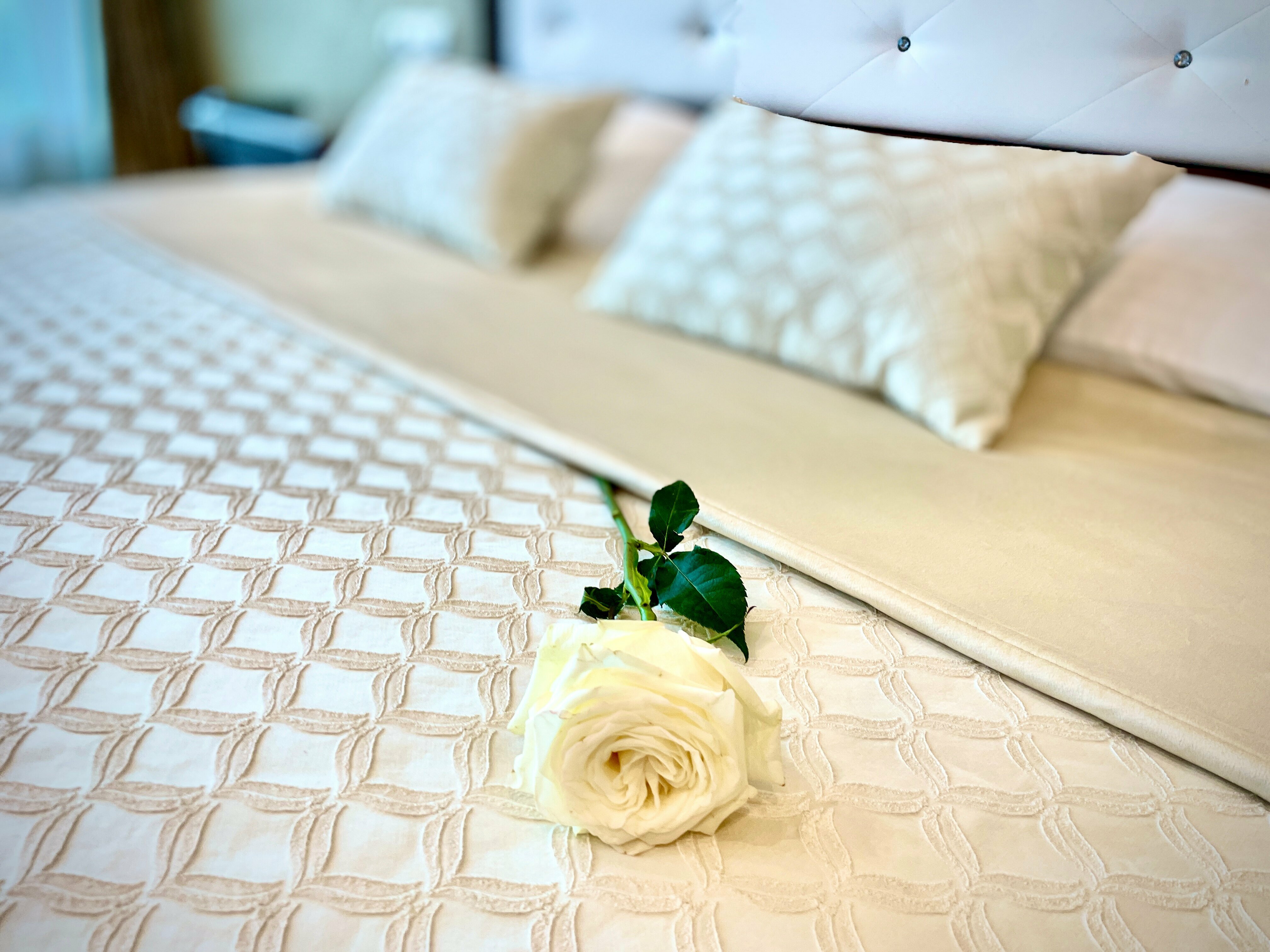 Джуниор сюит однокомнатный