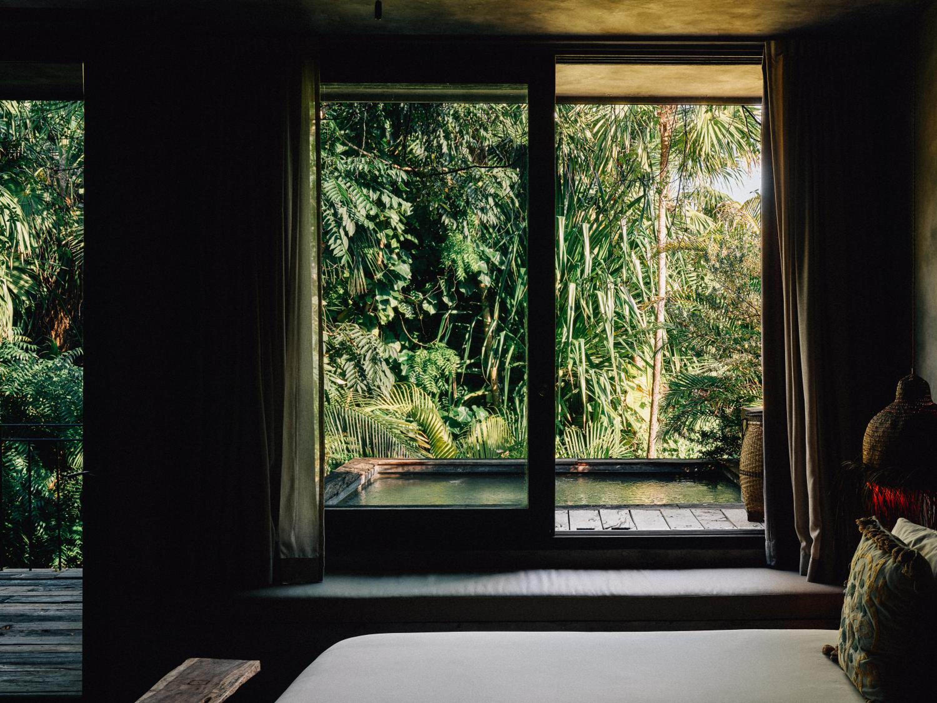 Premier Jungle Suite