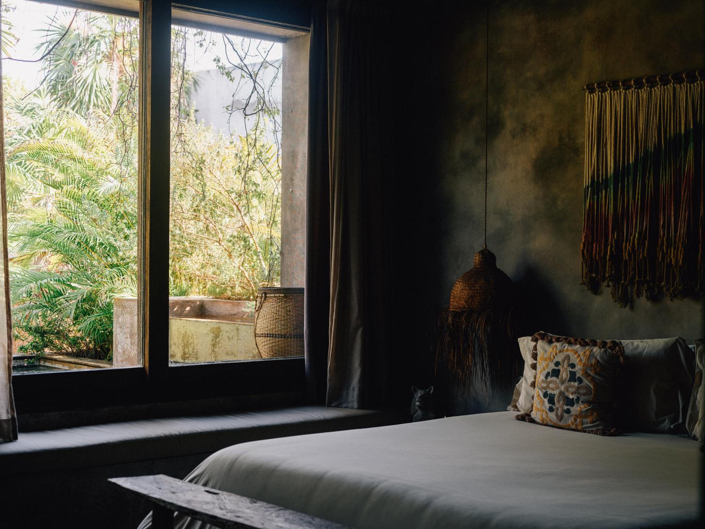 Premier Jungle Suite