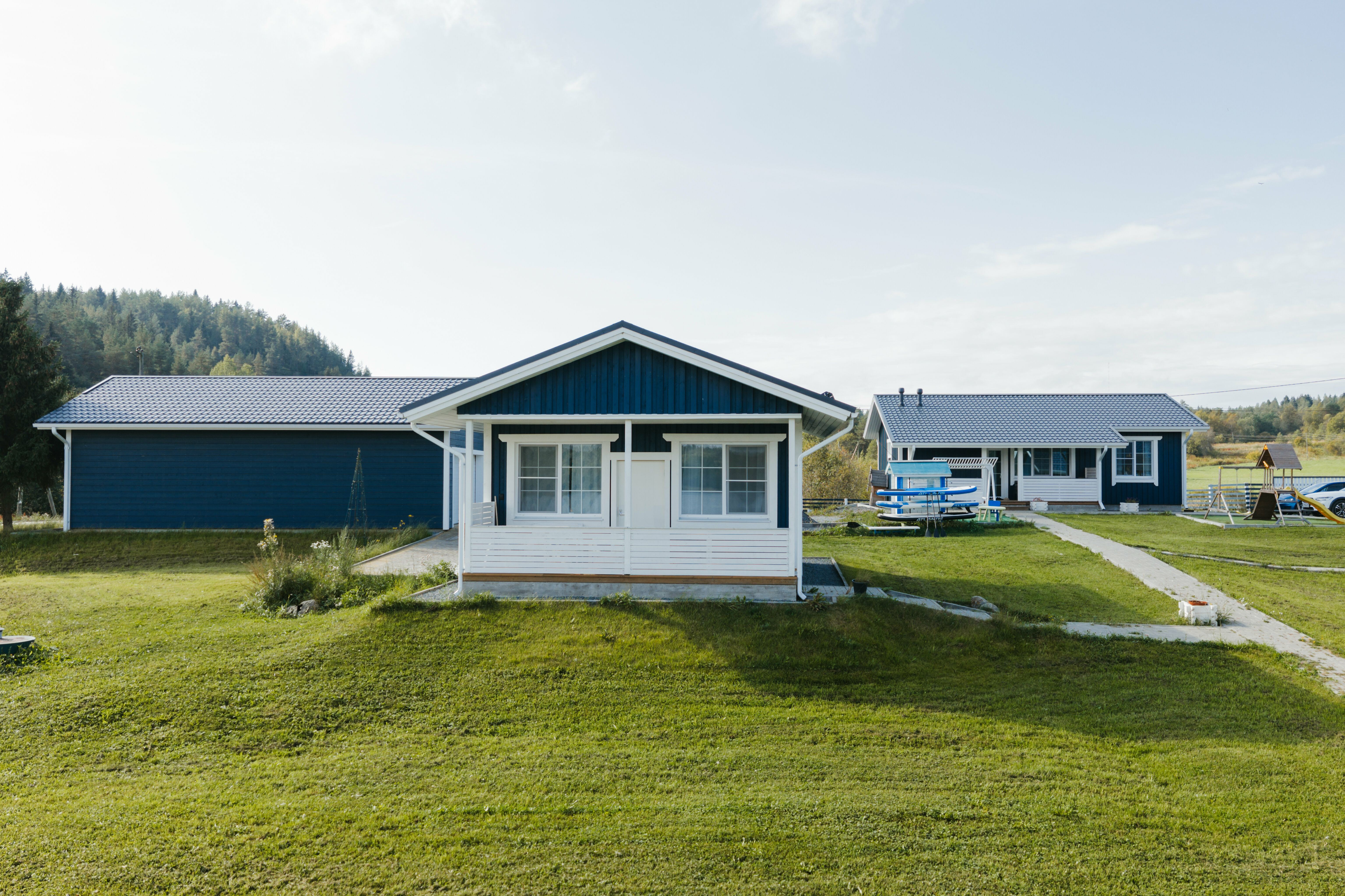 Черника Маленькая 45м2 без питомцев