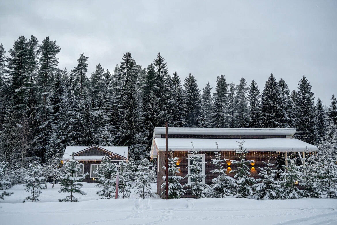 Коттедж с видом на лес