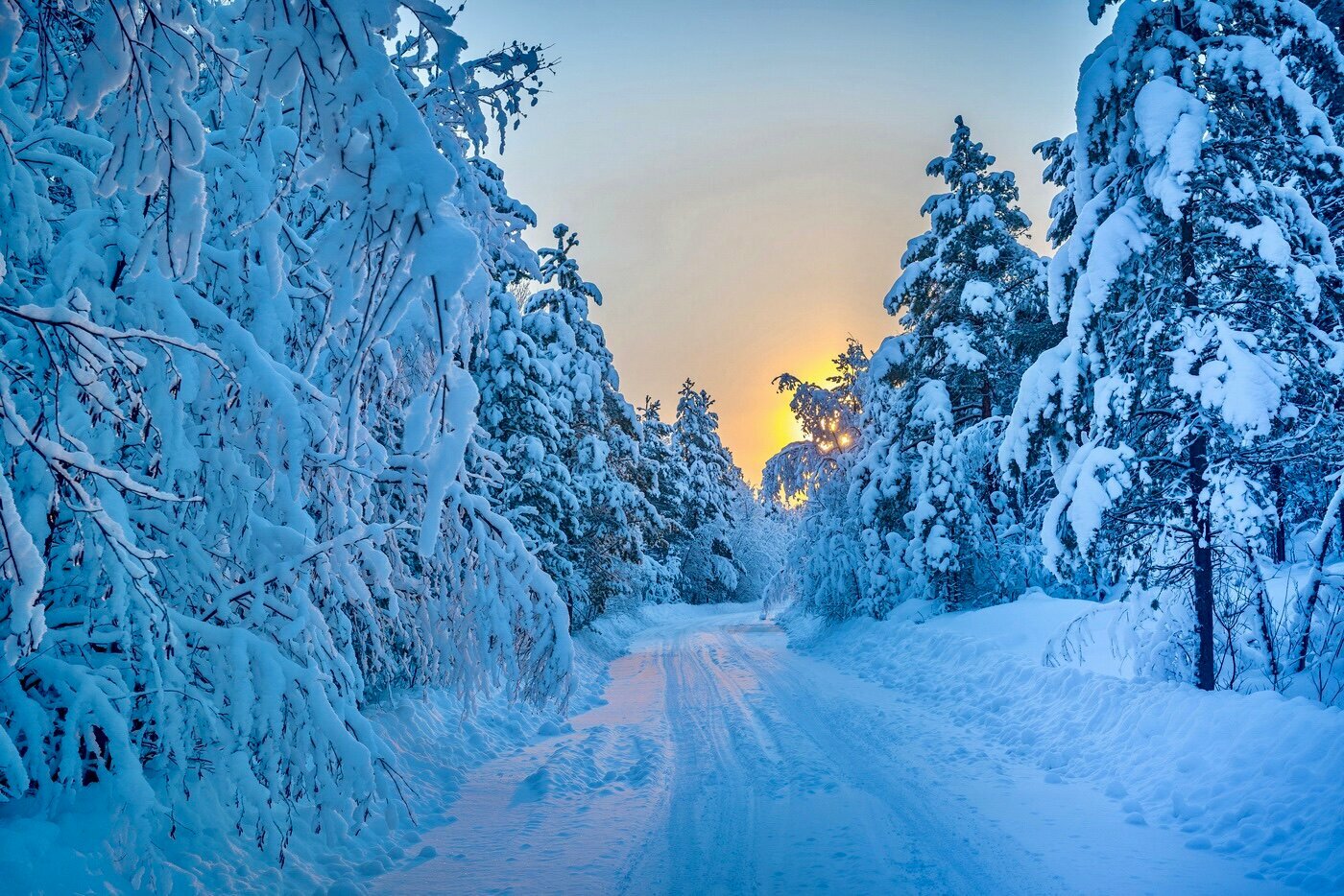 Барнхаус «Скандинавия»