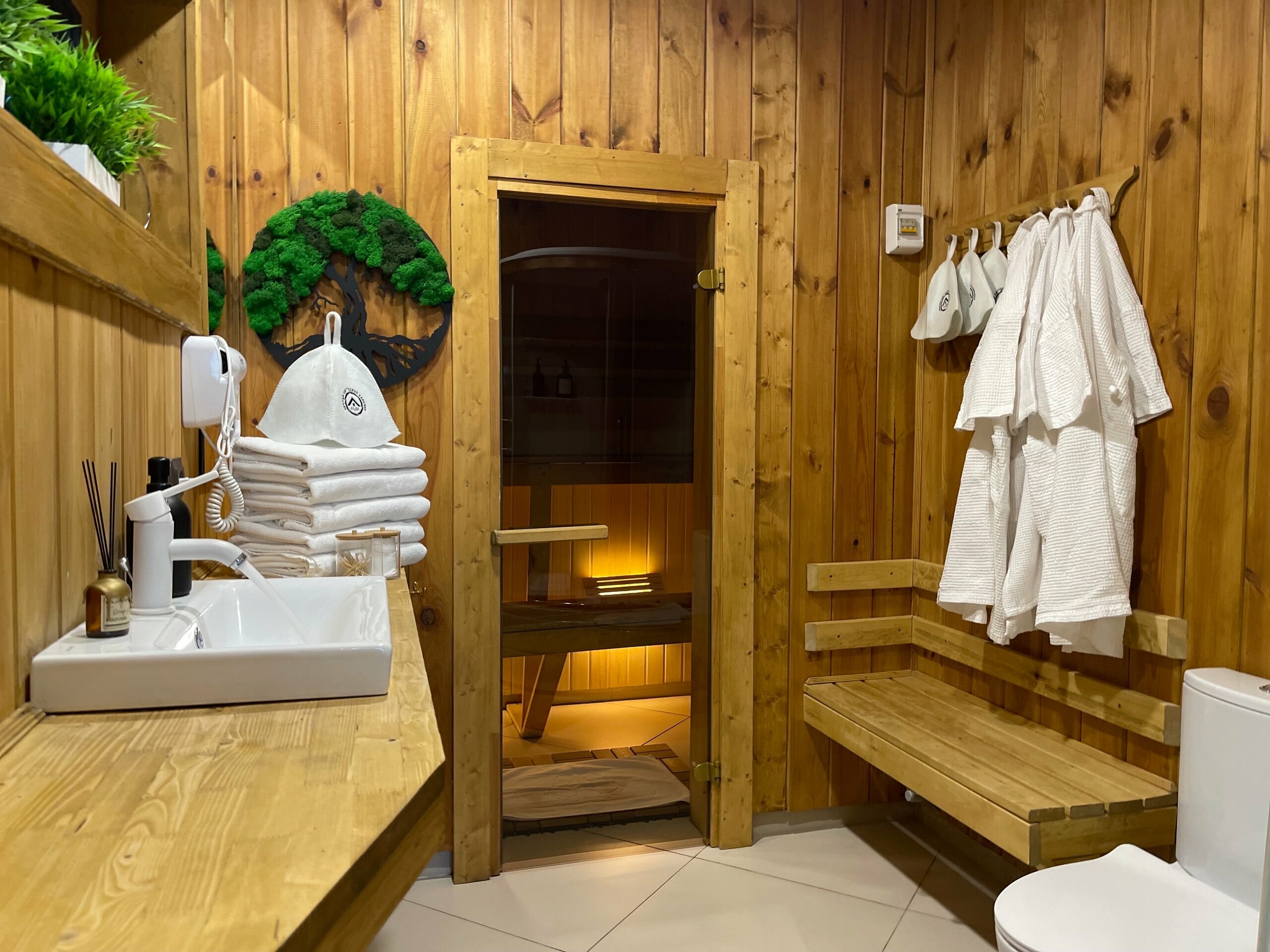 Барнхаус «Минимализм»