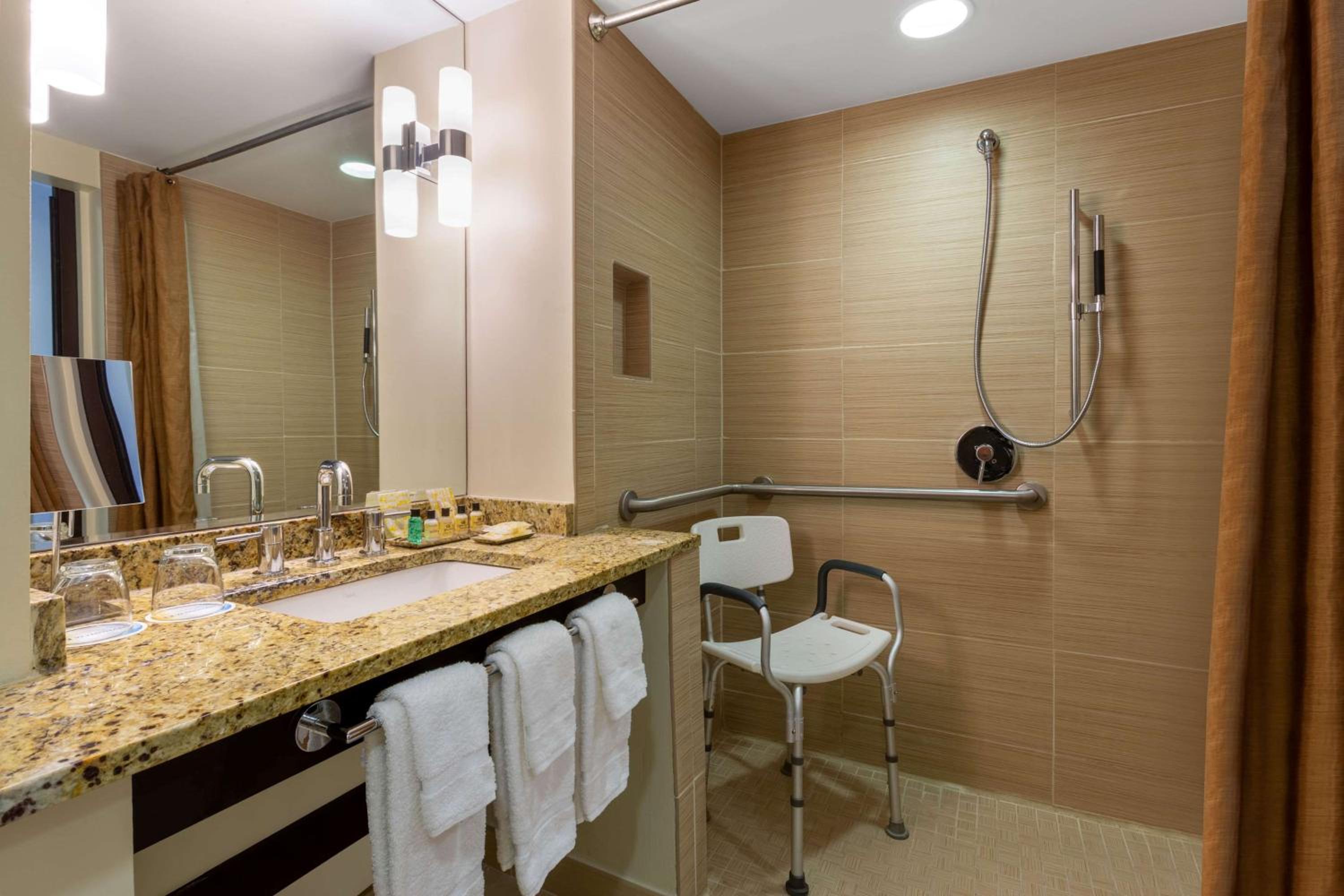 King Room with Roll-In Shower and City View - Mobility Access/Non-Smoking