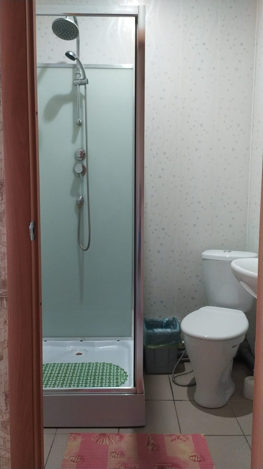 Двухместный номер Делюкс с 1 кроватью и душем