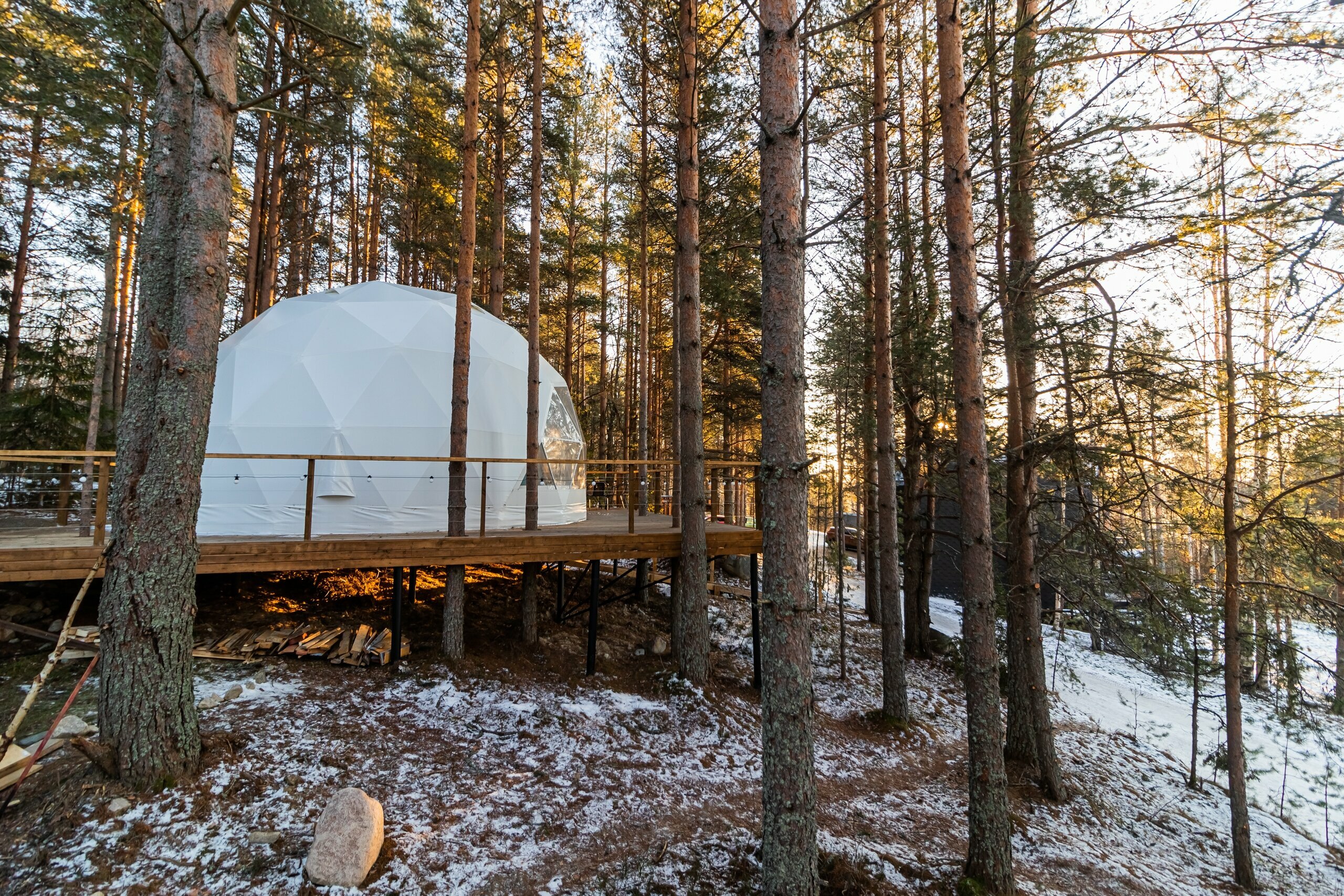 Купол «Петроглифы»