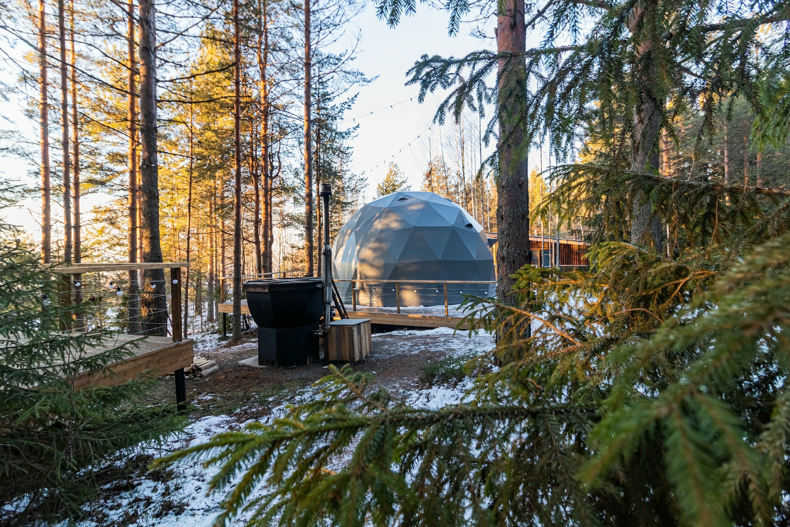 Купол «Карельский лес»