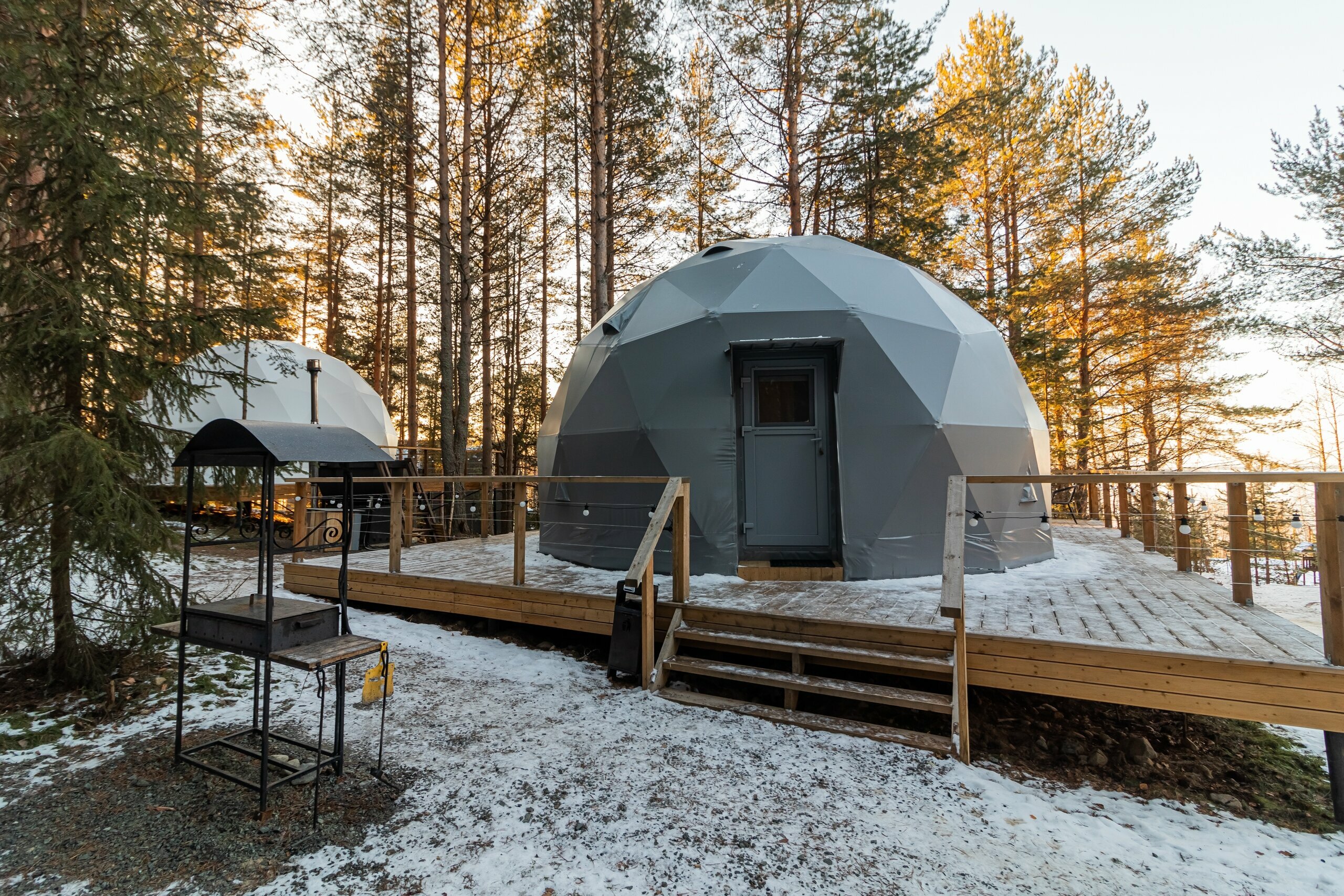 Купол «Карельский лес»