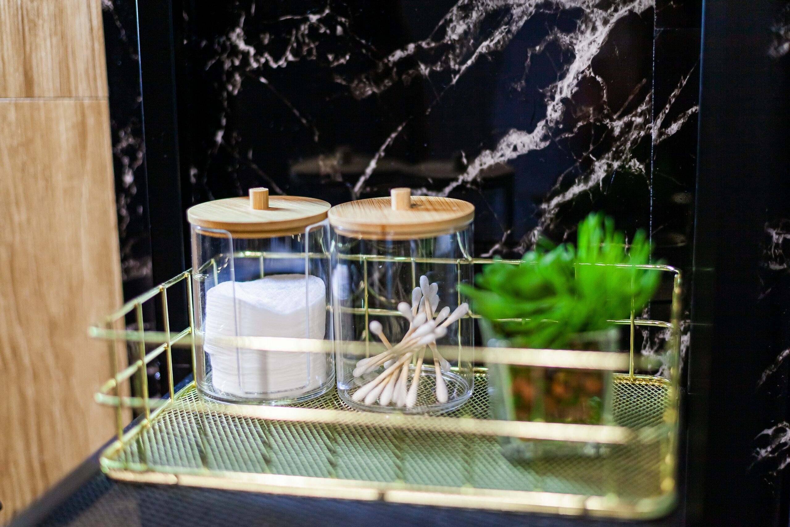 Купол «Карельский лес»