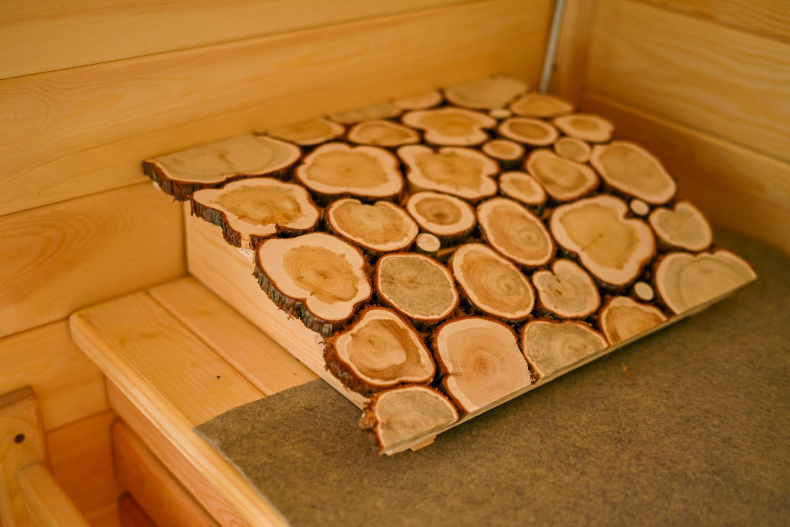 Дом Mini 39 с сауной / Дух-лягушка