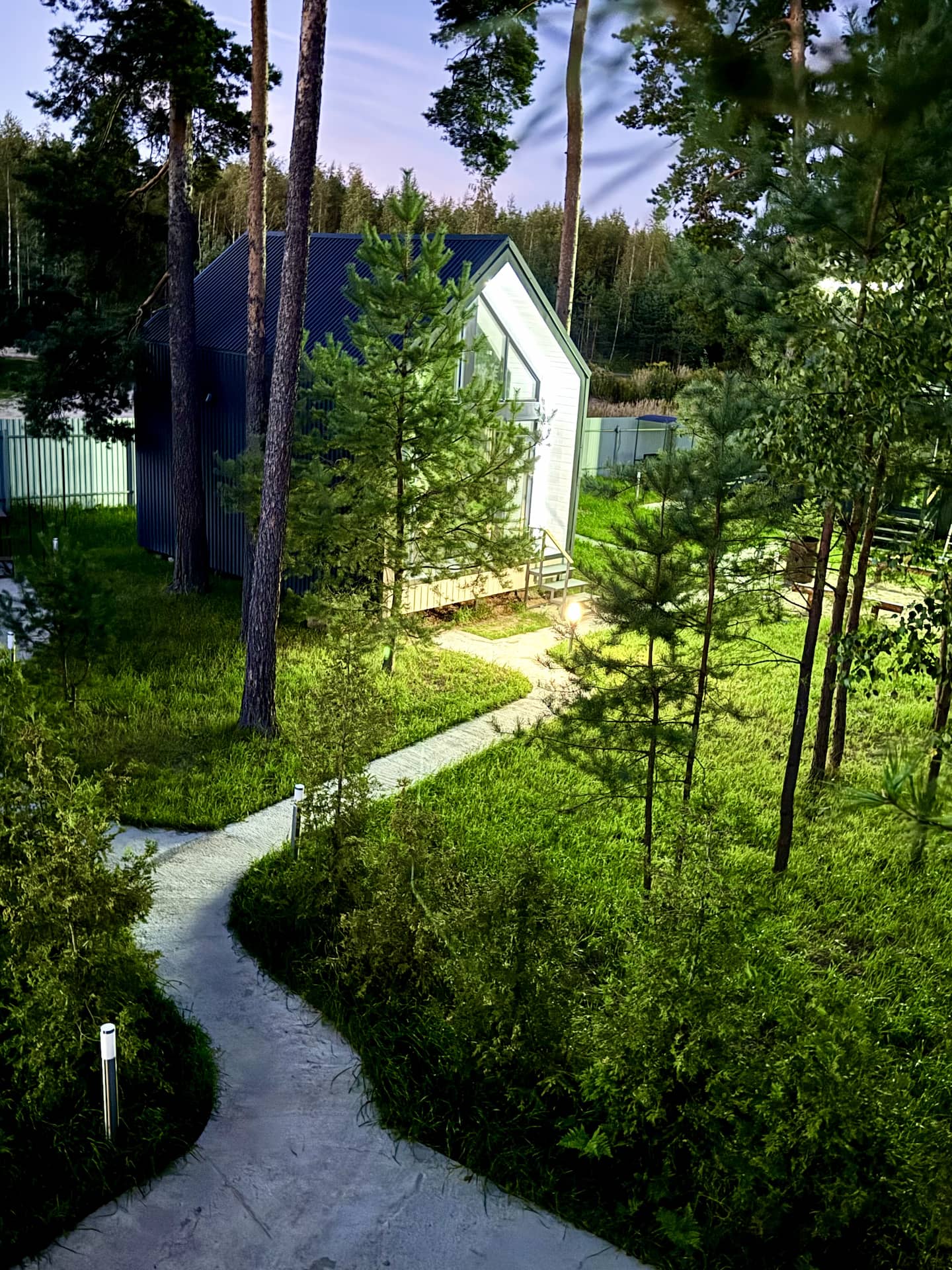 Лесная сказка