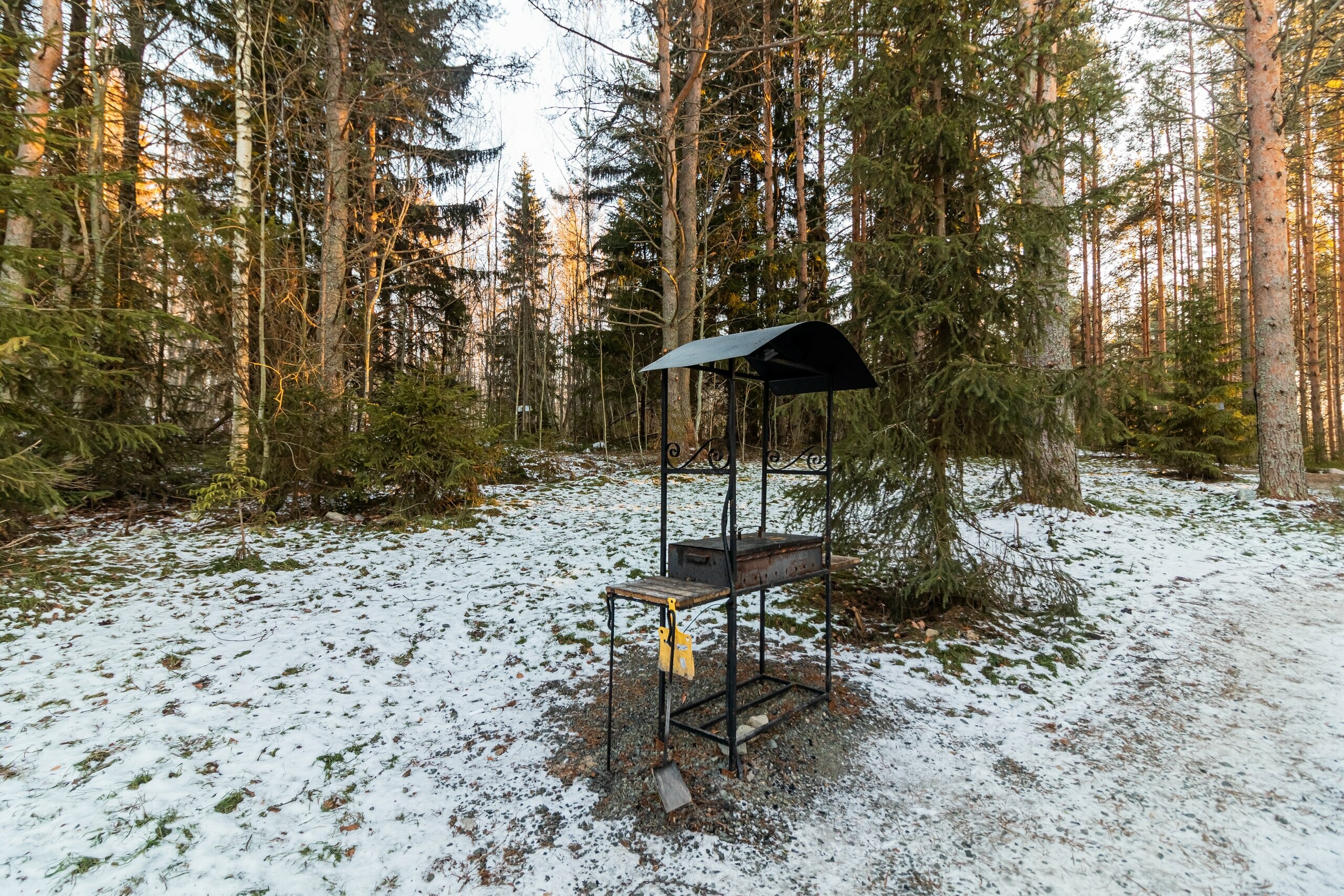 Номер «Березовая роща»