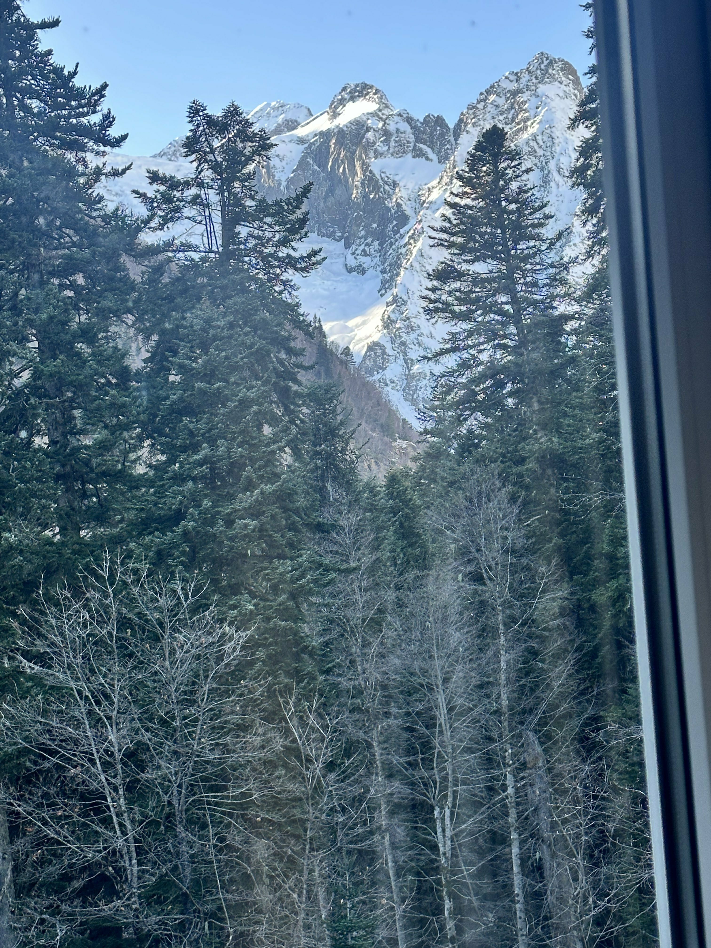 Бюджетный одноместный номер