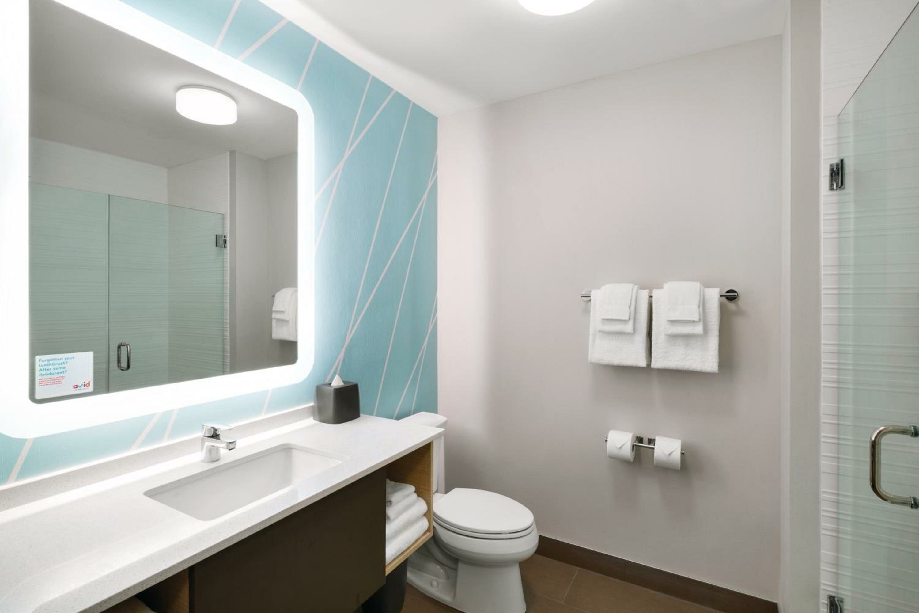 King Room - Disability Access Roll in Shower